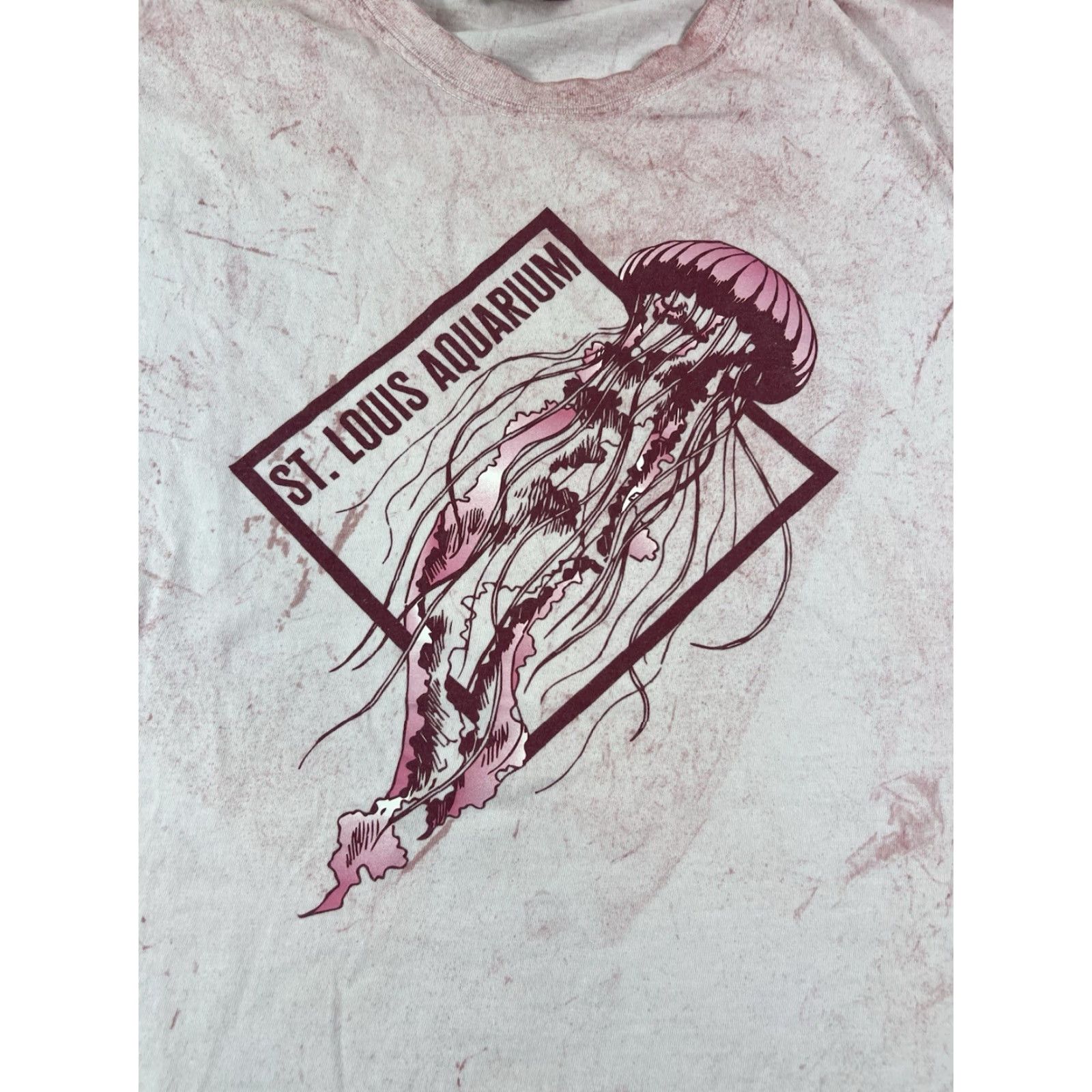 Comfort Colors **Comfort Colors St Louis Aquarium Pink XL T-Shirt** User: Comfort Colors St Louis Aquarium Pink XL T-Shirt Size US XL / EU 56 / 4 - 5 Thumbnail