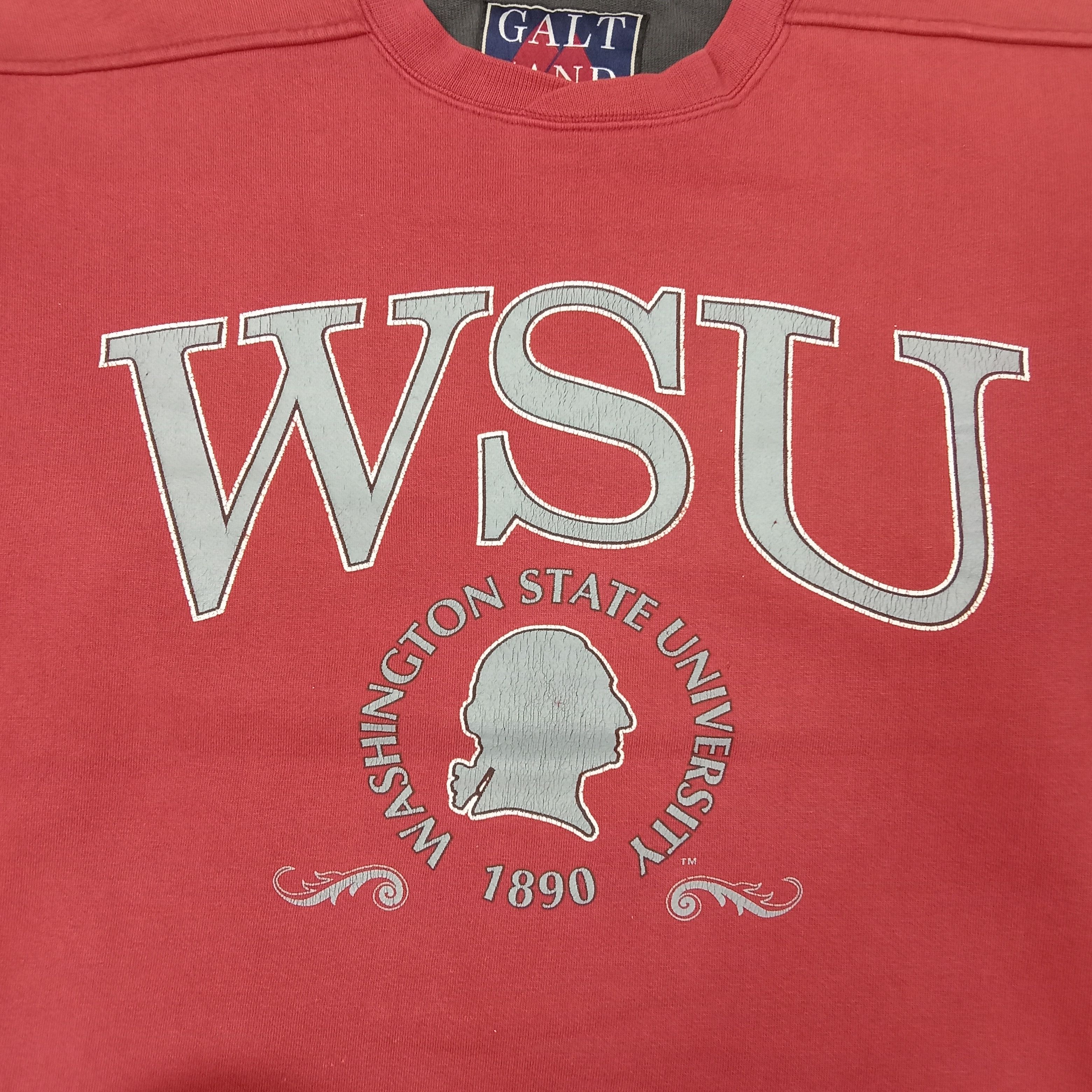 Vintage Washington State University America Promo Sweatshirt C251N20 Size US XL / EU 56 / 4 - 2 Thumbnail