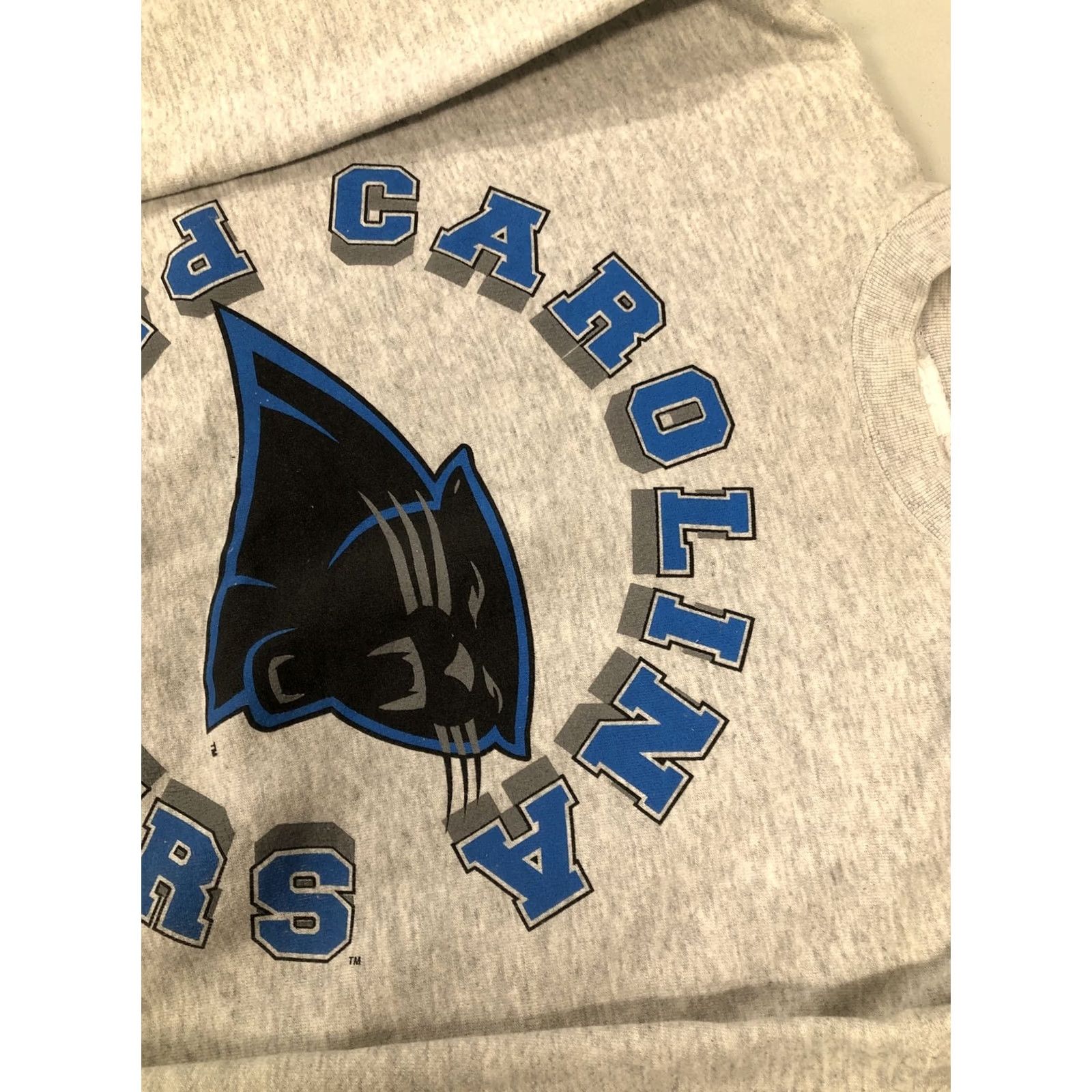 Tultex VINTAGE Tultex Carolina Panthers Sweatshirt 1993 Crew Neck XL Men Gray USA 90s Football NFL Graphic Print Pullover Size US XL / EU 56 / 4 - 6 Thumbnail
