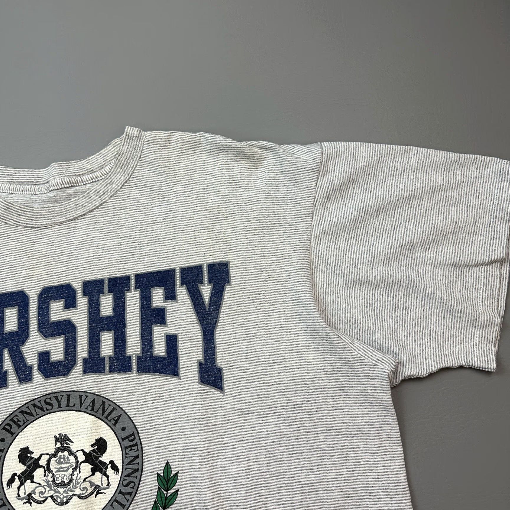 Vintage Vintage Hershey Pennsylvania Shirt Mens 2XL Gray Striped Vacation 90s Shirt Mens 2XL Gray Striped Vintage Hershey Pennsylvania 90s Mens Shirt Size US XXL / EU 58 / 5 - 5 Thumbnail
