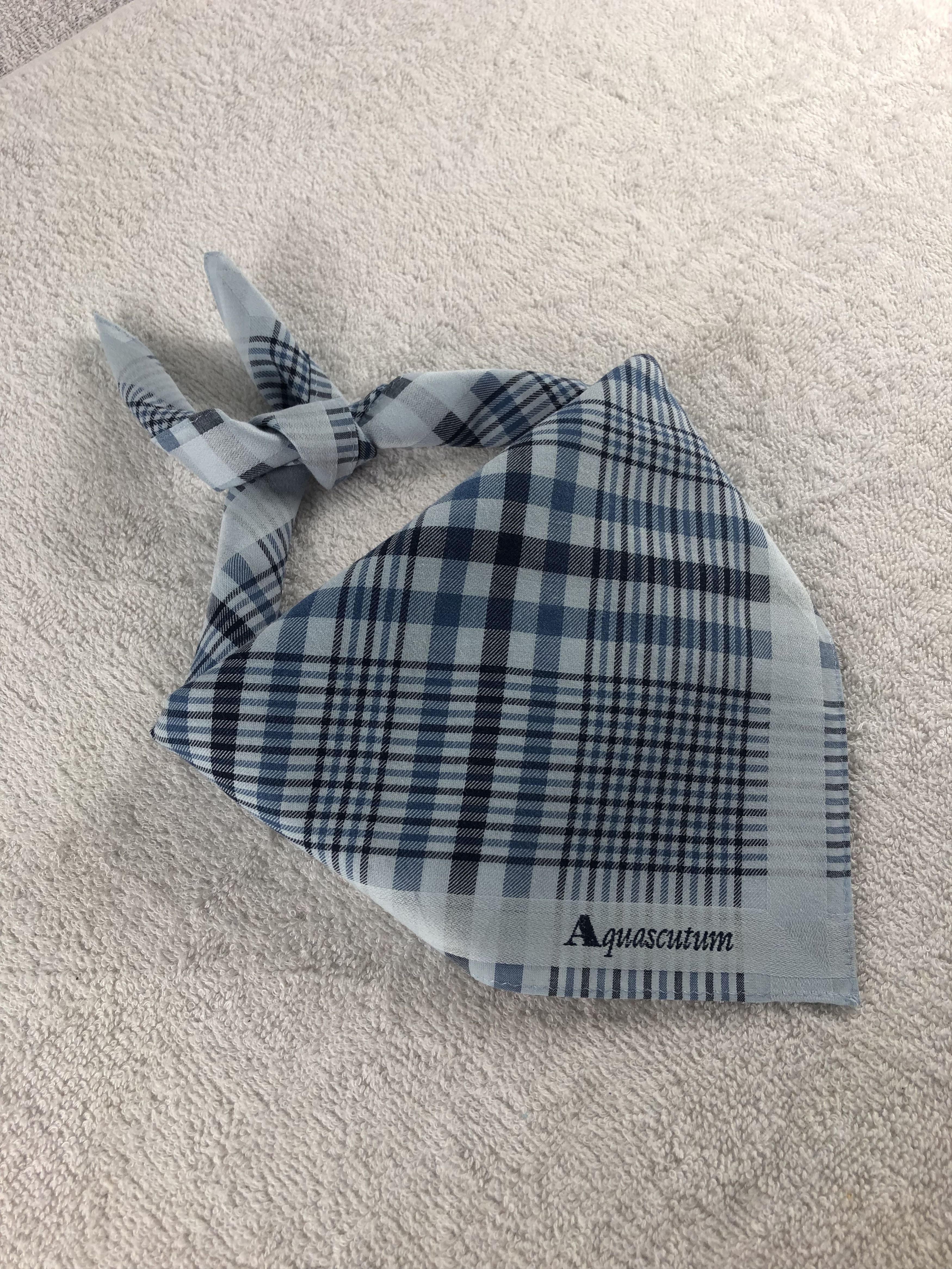 Aquascutum Aquasqutum Handkerchief / Bandana / Neckerchief Size ONE SIZE - 1 Thumbnail