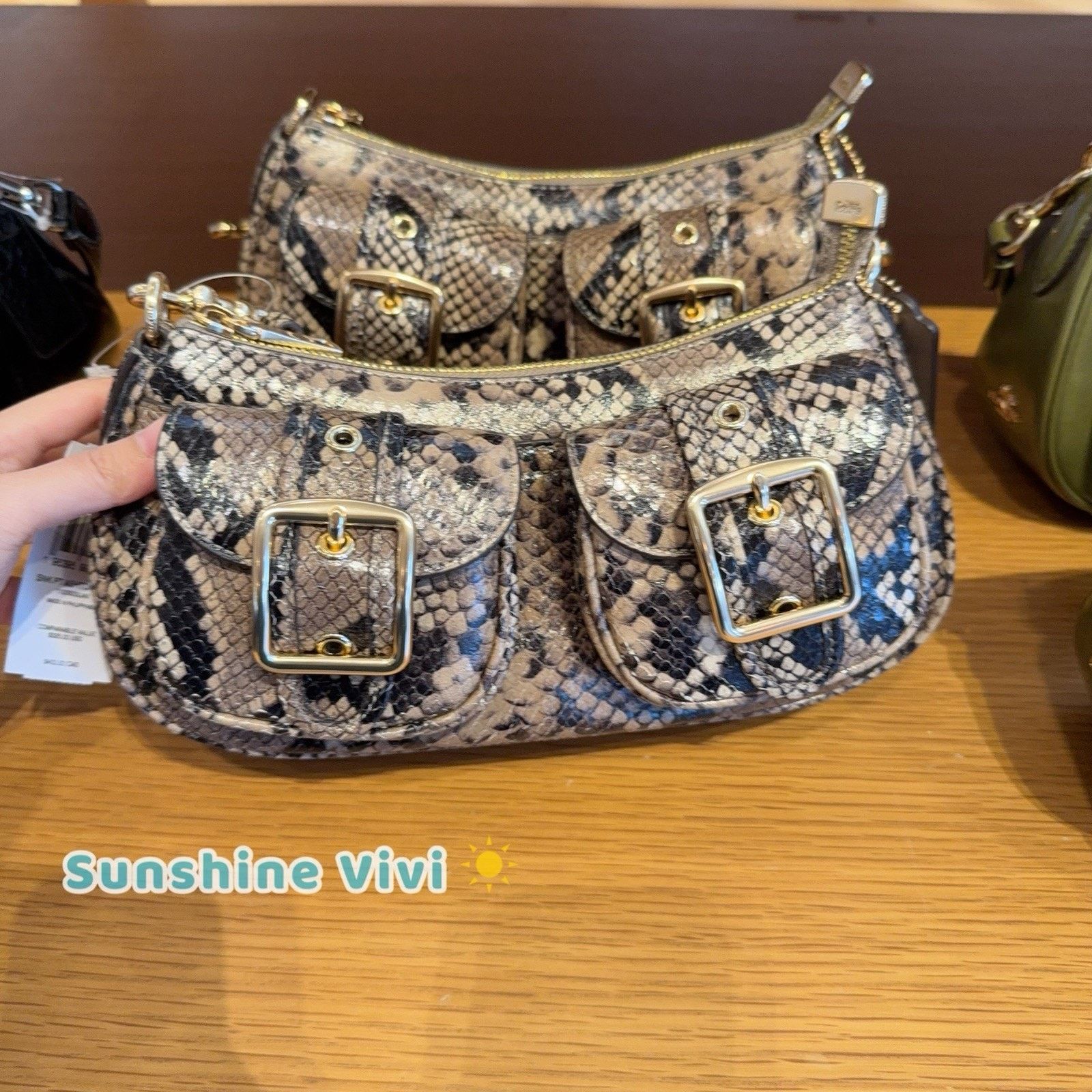 Coach NWT Coach Ashton Bag Snake Leather CCE38 Mushroom Multi Size ONE SIZE - 1 Thumbnail