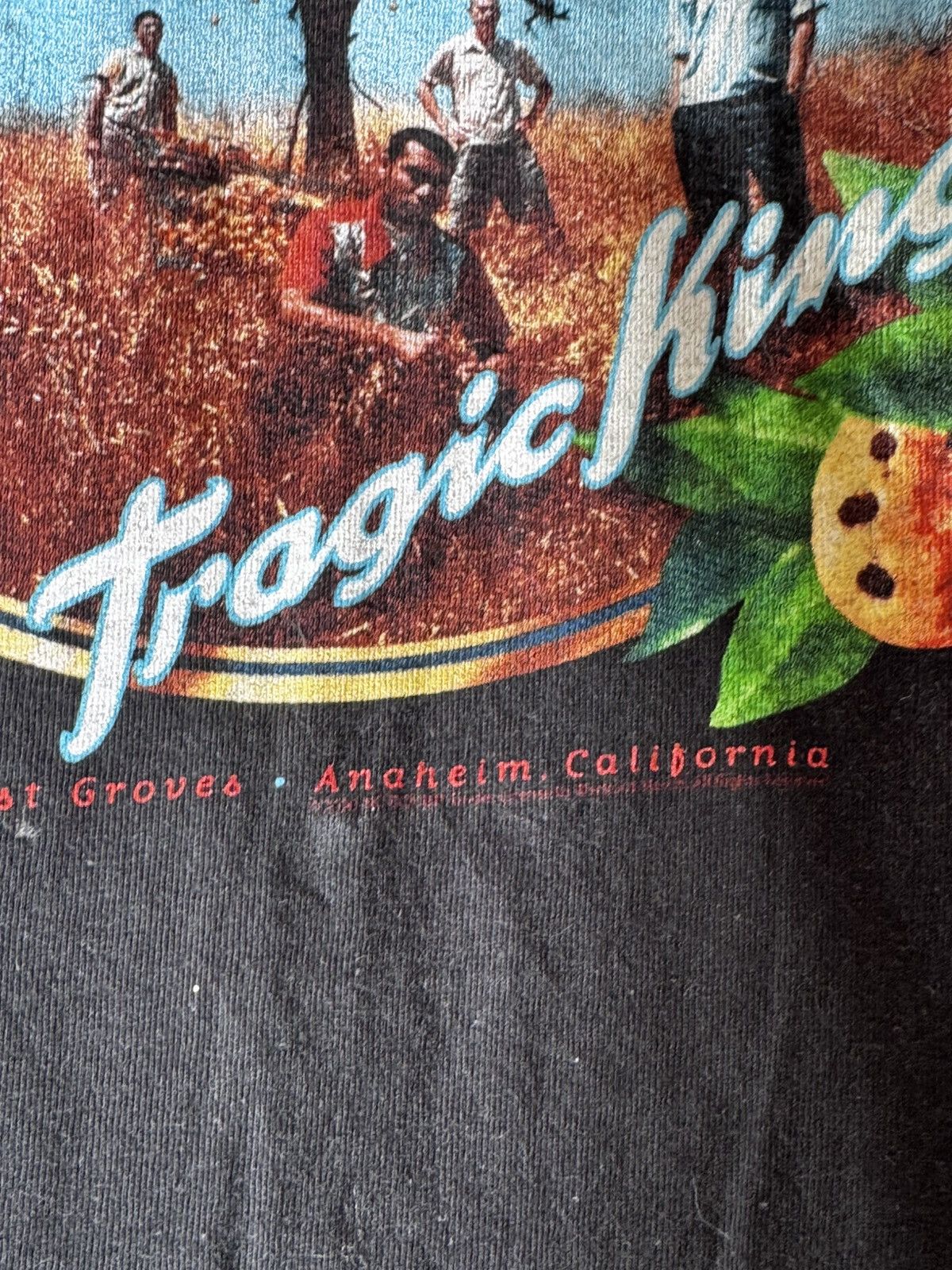 Band Tees Y2K No Doubt Tragic Kingdom Rock Band Tee Rare Black xl Size US XL / EU 56 / 4 - 5 Thumbnail