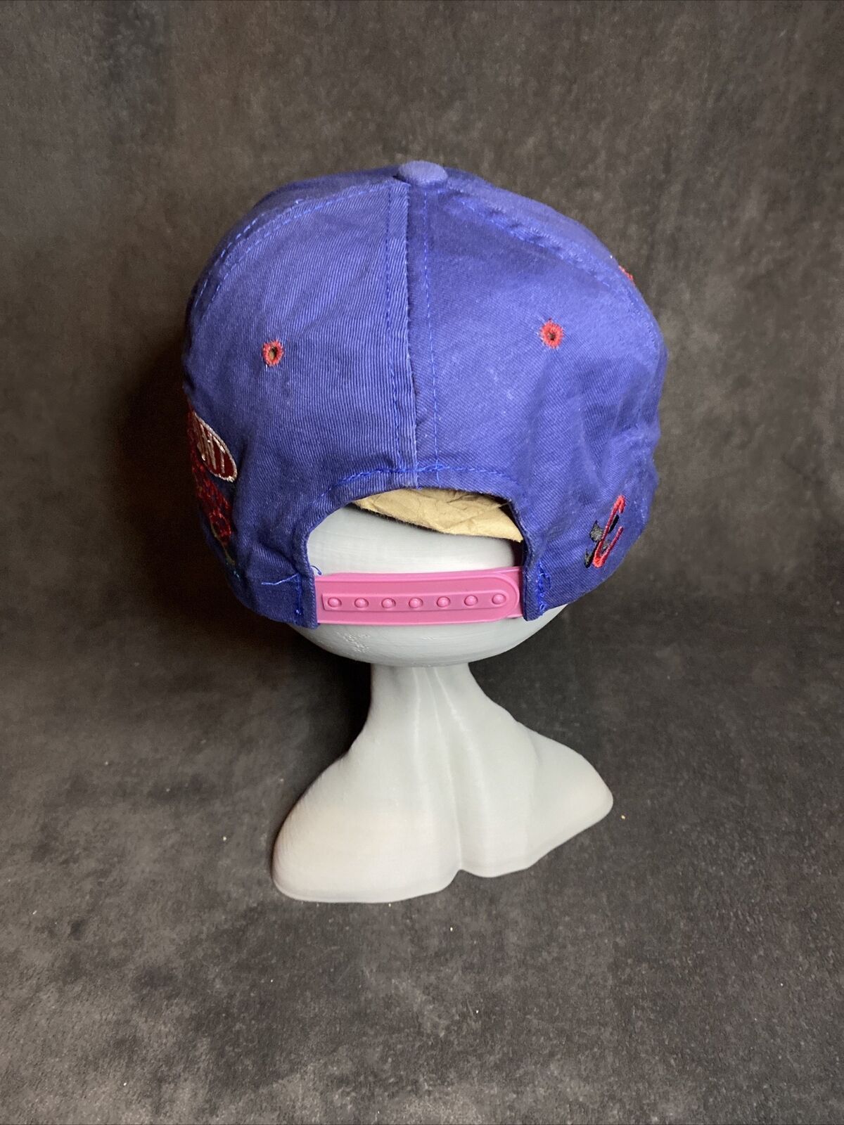 NASCAR Vintage Y2k Jeff Gordon 24 Snapback Hat Chase Authentic Size ONE SIZE - 4 Thumbnail