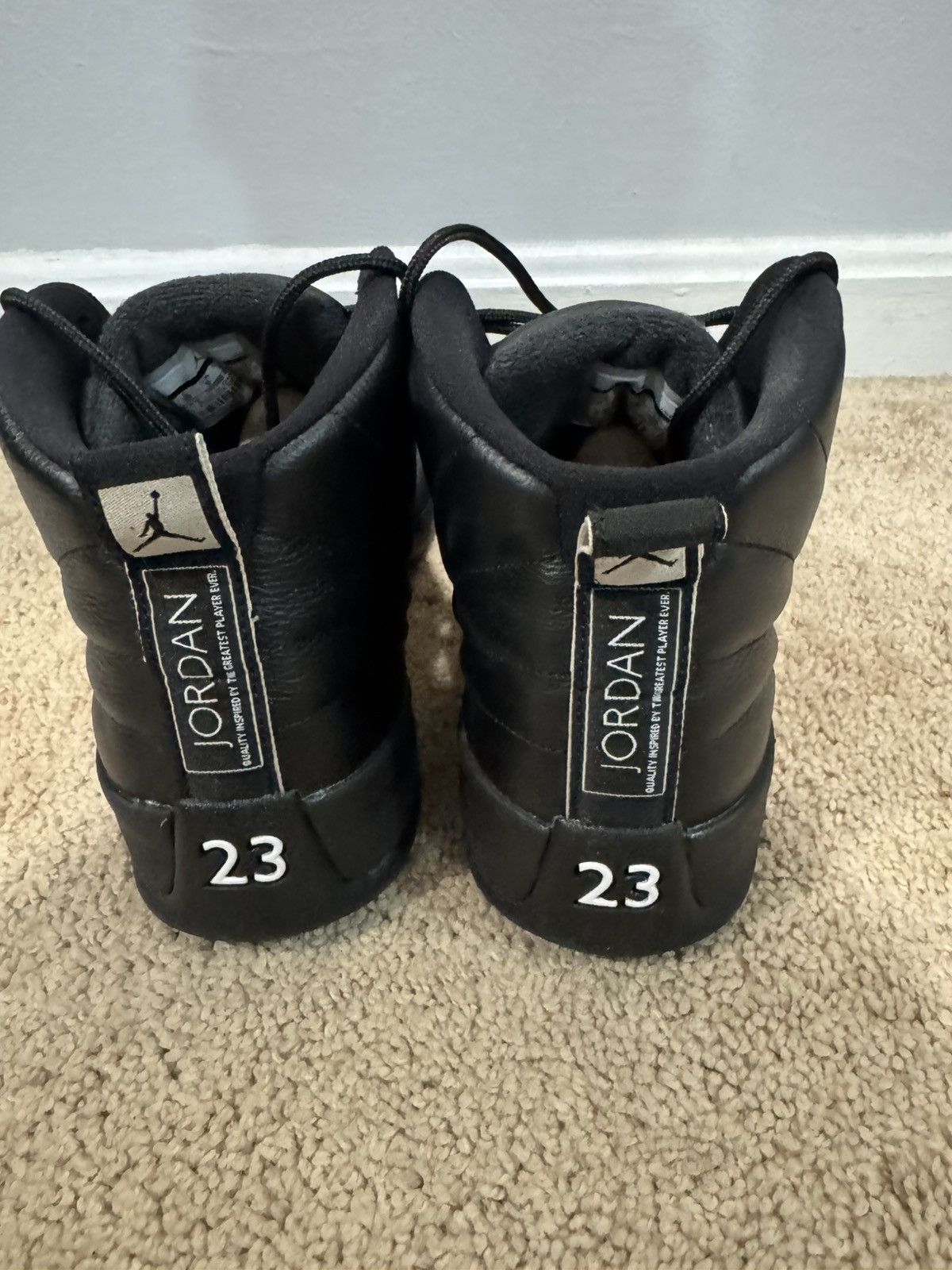 Jordan Brand Jordan 12, The Master 2016 Size US 10 / EU 43 - 3 Thumbnail