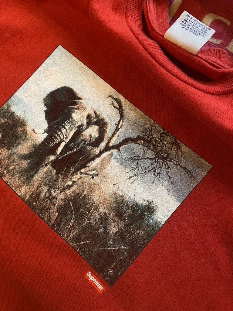 Supreme SS2011 Supreme Safari Elephant Photo T Shirt Size US L / EU 52-54 / 3 - 7 Thumbnail