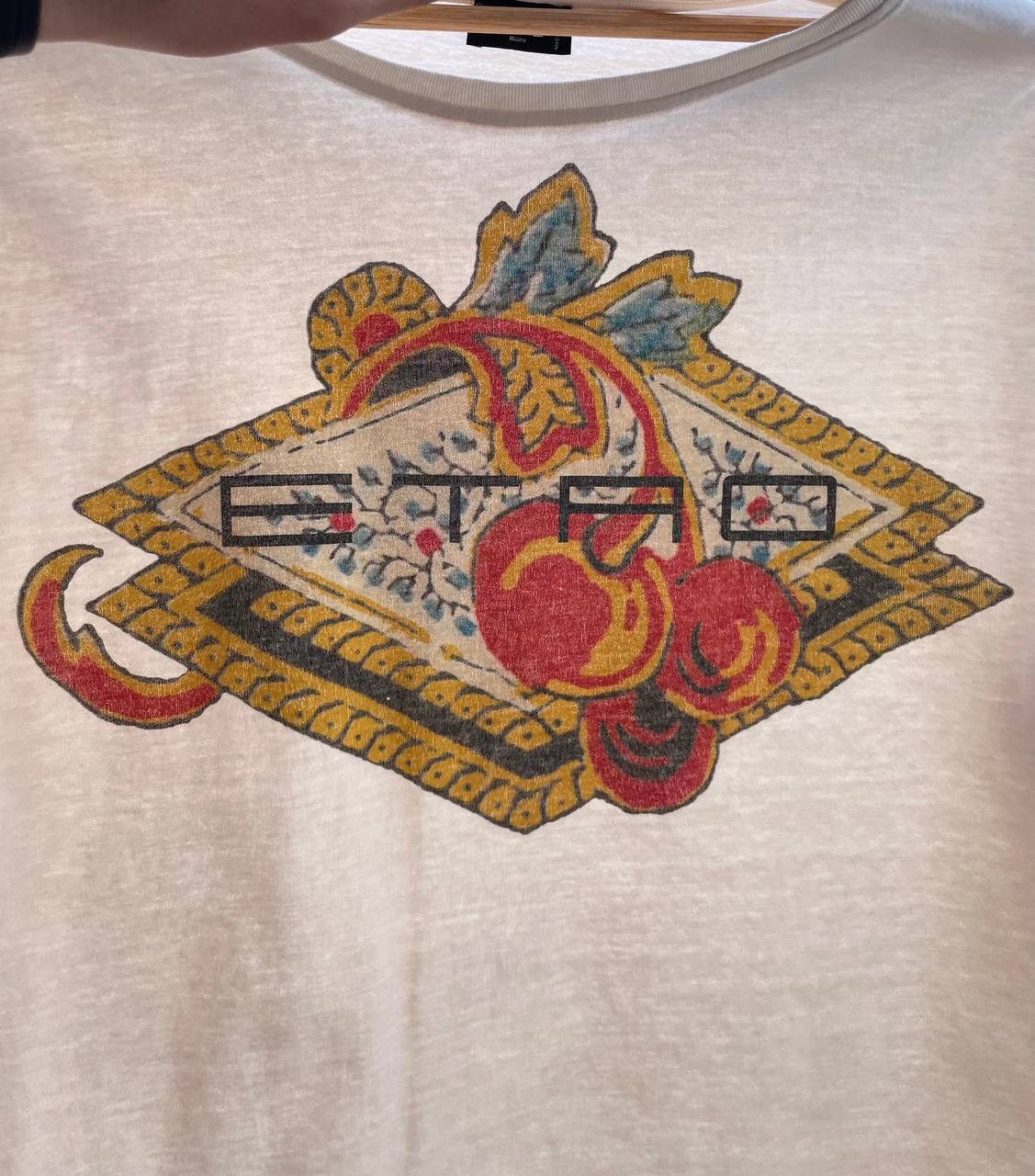 Etro Etro Logo Printed Cotton T-Shirt – Size IT 46 Size L / US 10 / IT 46 - 11 Thumbnail