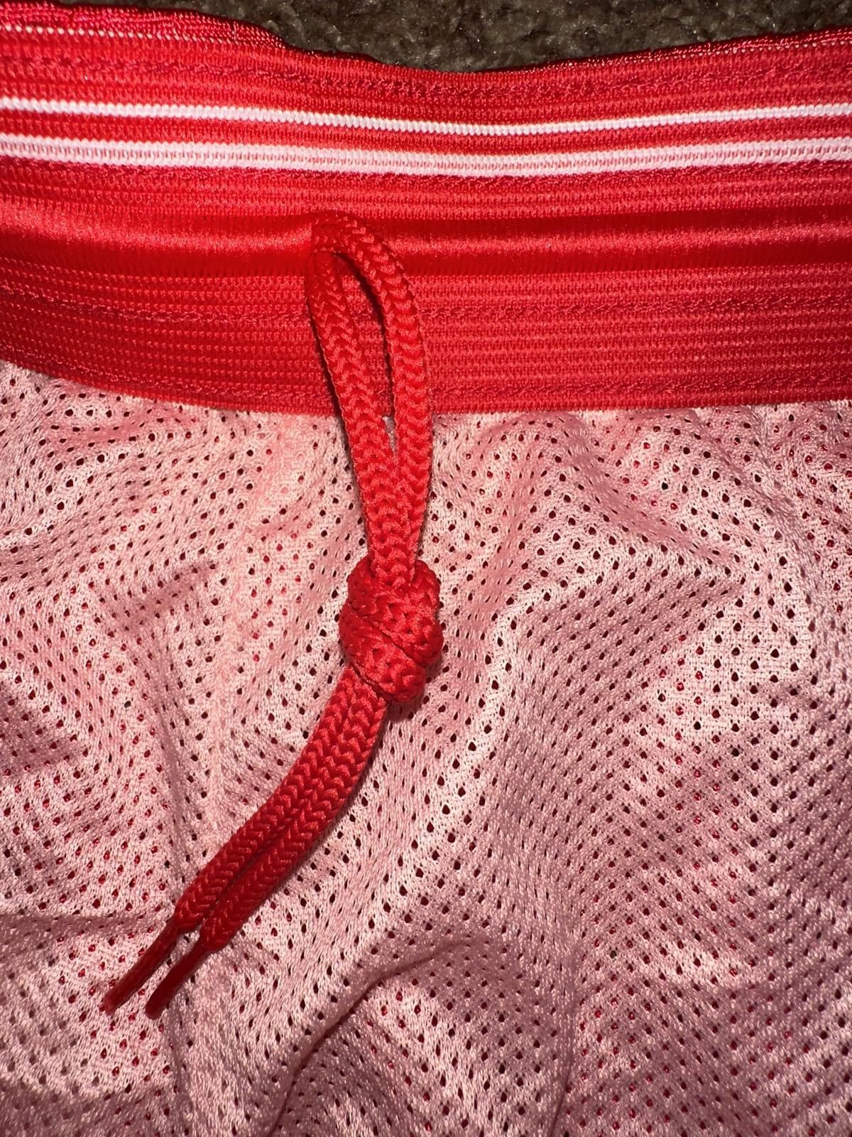 Nike Nike Women’s Hero Mesh Training Red Shorts Size 26" / US 2 / IT 38 - 7 Thumbnail