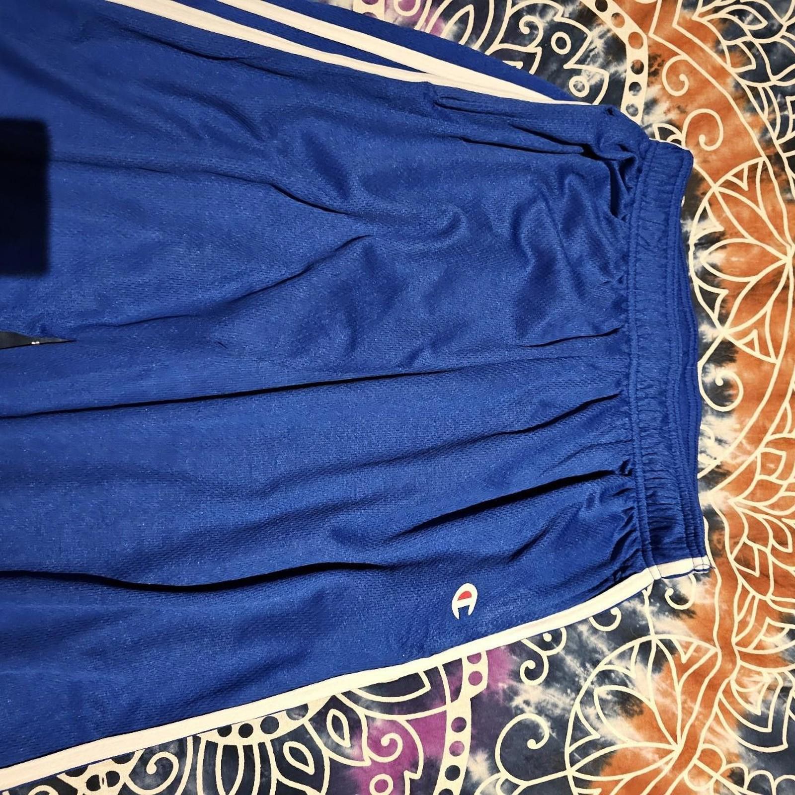 Designer Men's White and Blue Champion Gym Pants Size US 32 / EU 48 - 4 Thumbnail