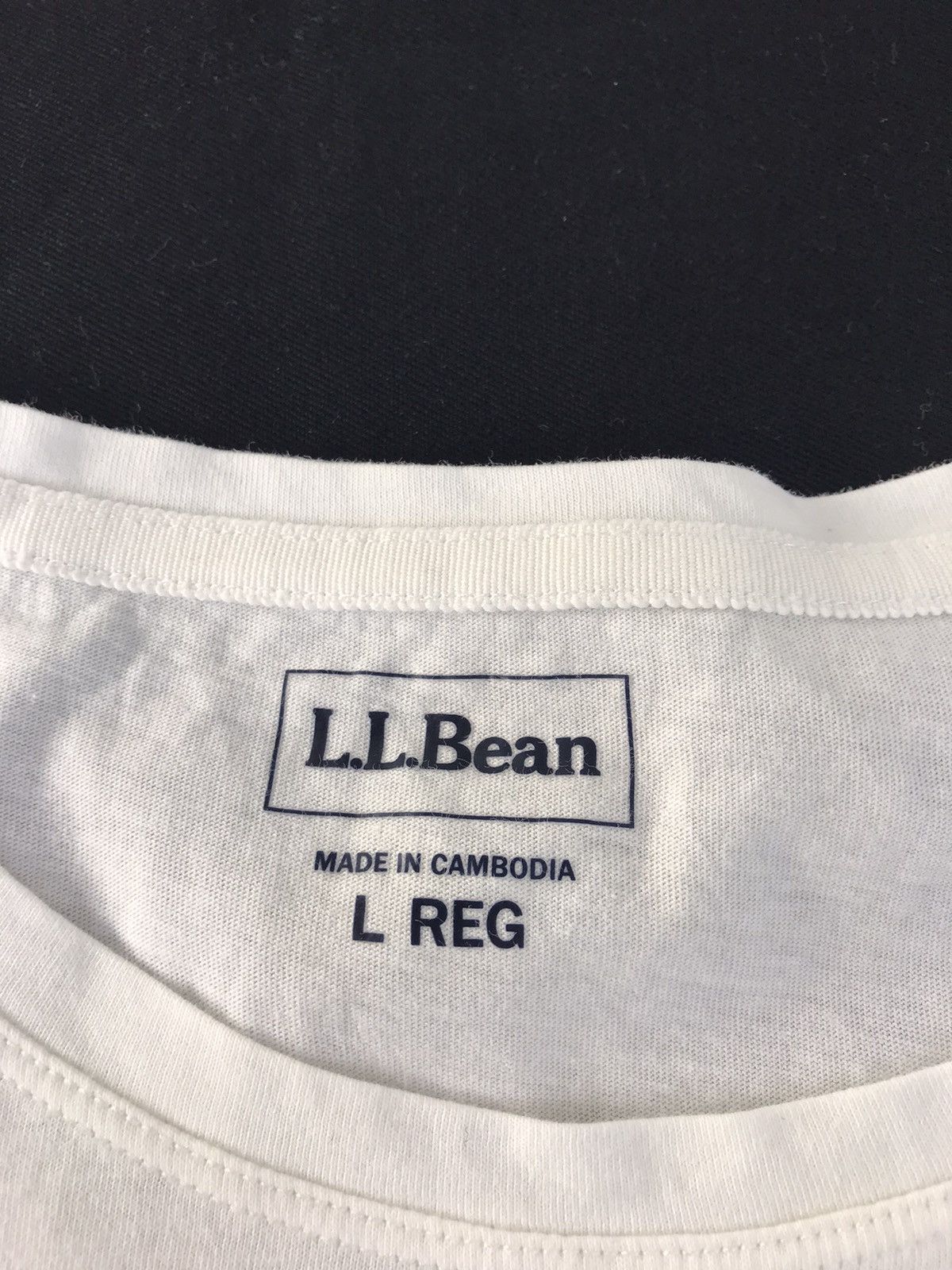 L.L. Bean LL Bean Explore The Outdoor Falling Dead Leave Logo Tee Size L / US 10 / IT 46 - 4 Thumbnail