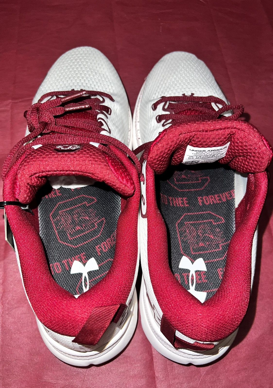 NCAA × Under Armour Under Armour Gamecocks Infinite 5 Size US 10.5 / EU 43-44 - 13 Thumbnail