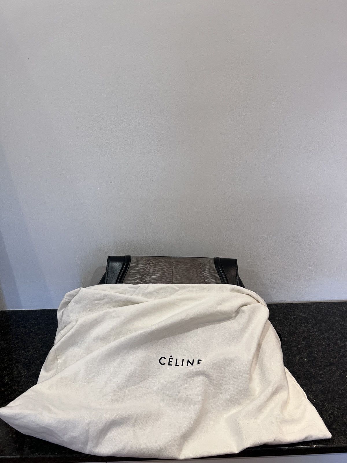 Celine Mini Luggage Leather and Lizard