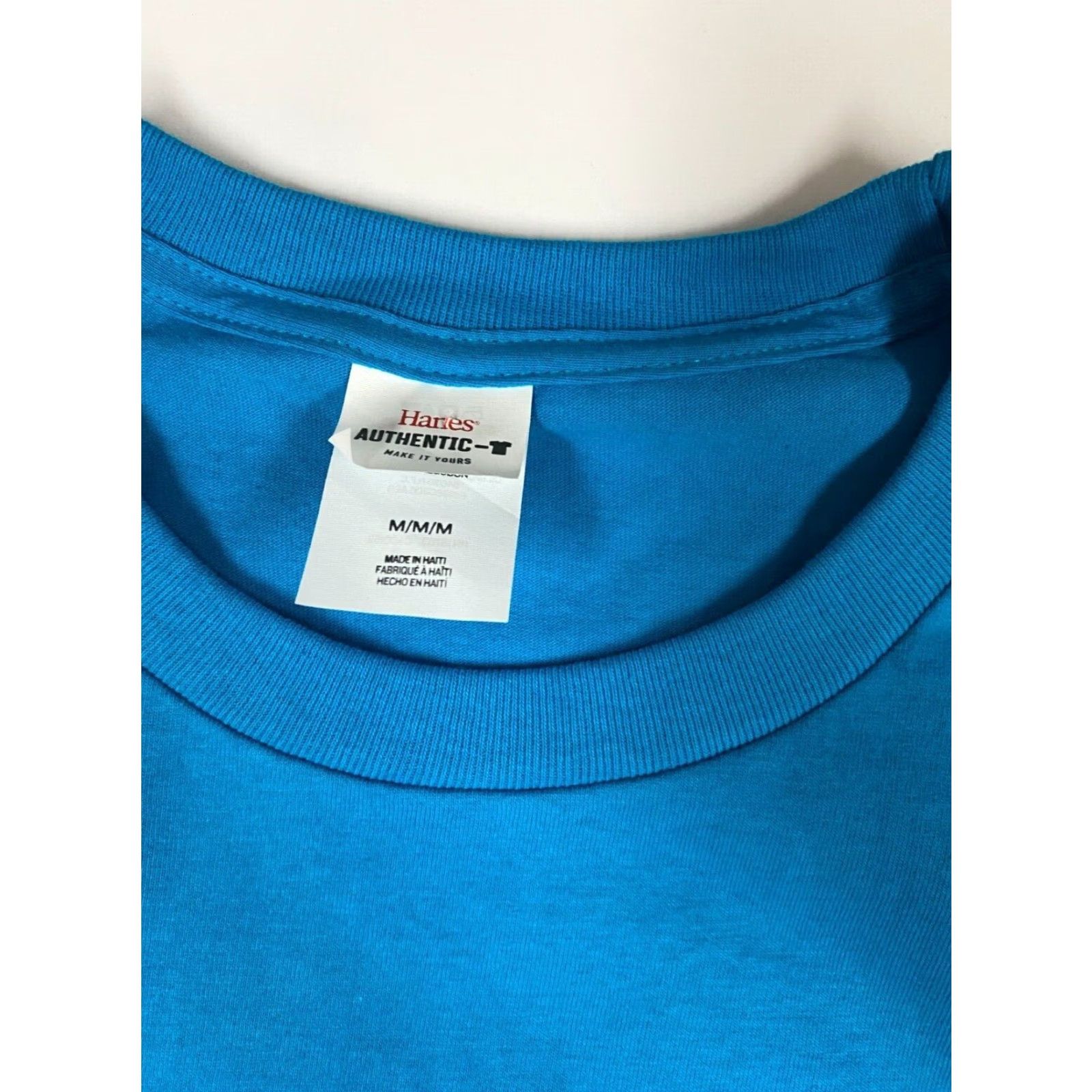 Hanes Hanes Mens T-Shirt Shirt Crew Neck Short Sleeve Blue Blue M Regular Cotton Spandex Logo Classic Vintage No 90s? (Oops) Size US M / EU 48-50 / 2 - 5 Thumbnail