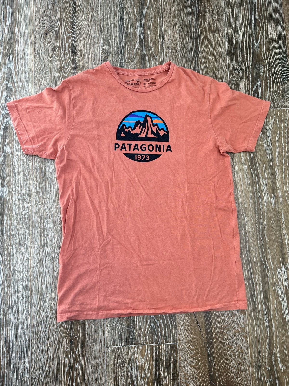 Patagonia Patagonia tee Size US M / EU 48-50 / 2 - 1 Thumbnail