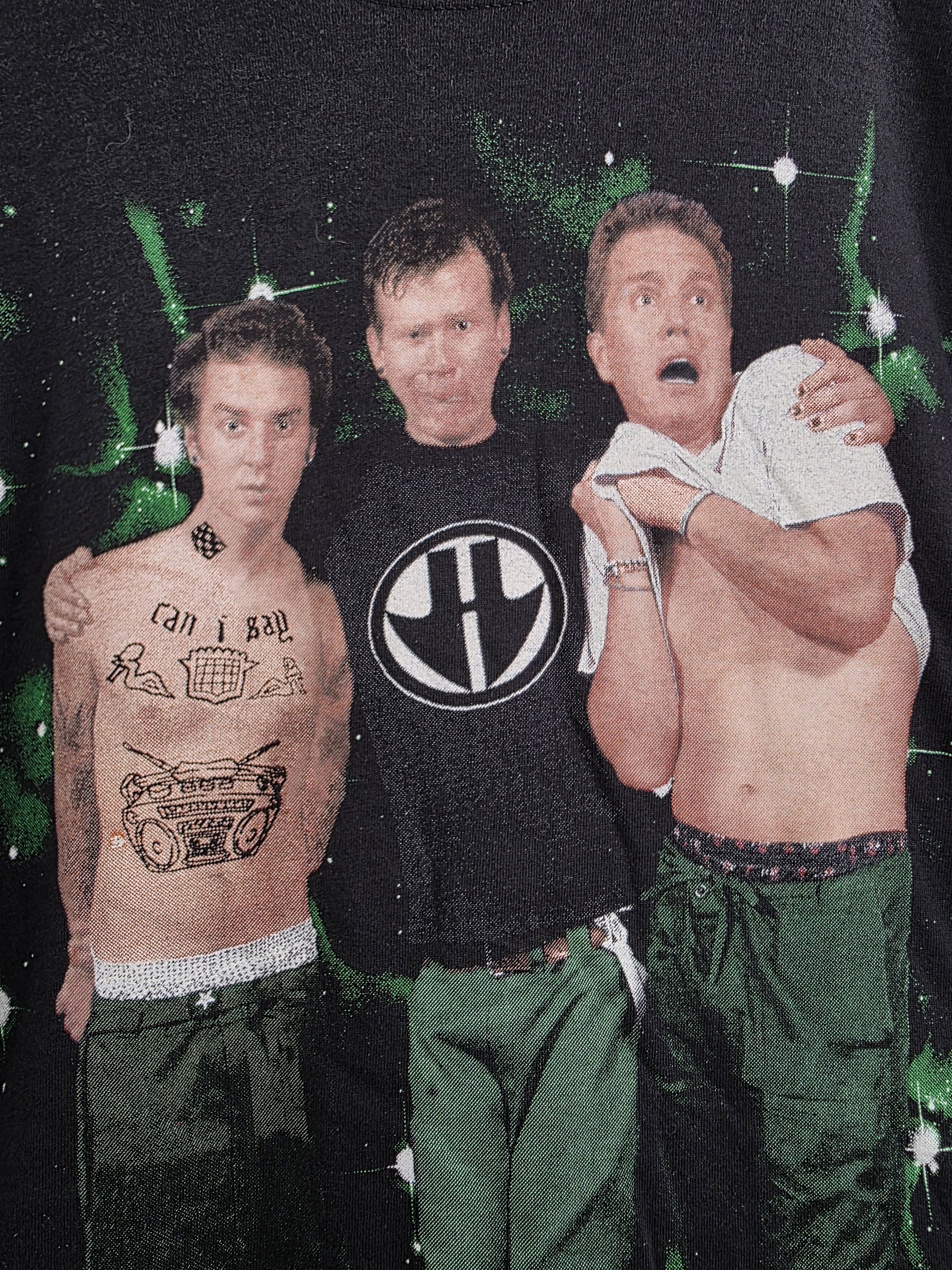 Band Tees 2000 Blink 182 Y2K Vintage band tee XL 23" 29" Size US XL / EU 56 / 4 - 4 Thumbnail