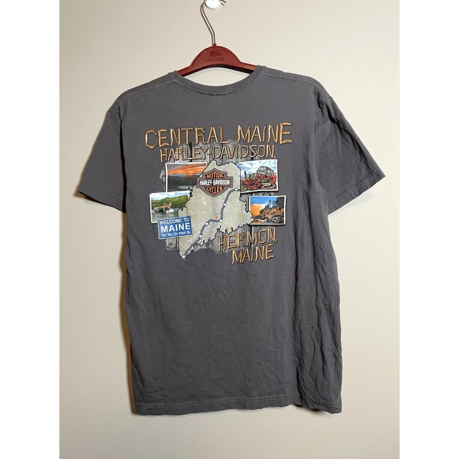 Harley Davidson Harley-Davidson T-Shirt Men’s Large Gray Cotton Crew Neck Short Sleeve Biker Motorcycle USA Graphic Print Size US L / EU 52-54 / 3 - 5 Thumbnail