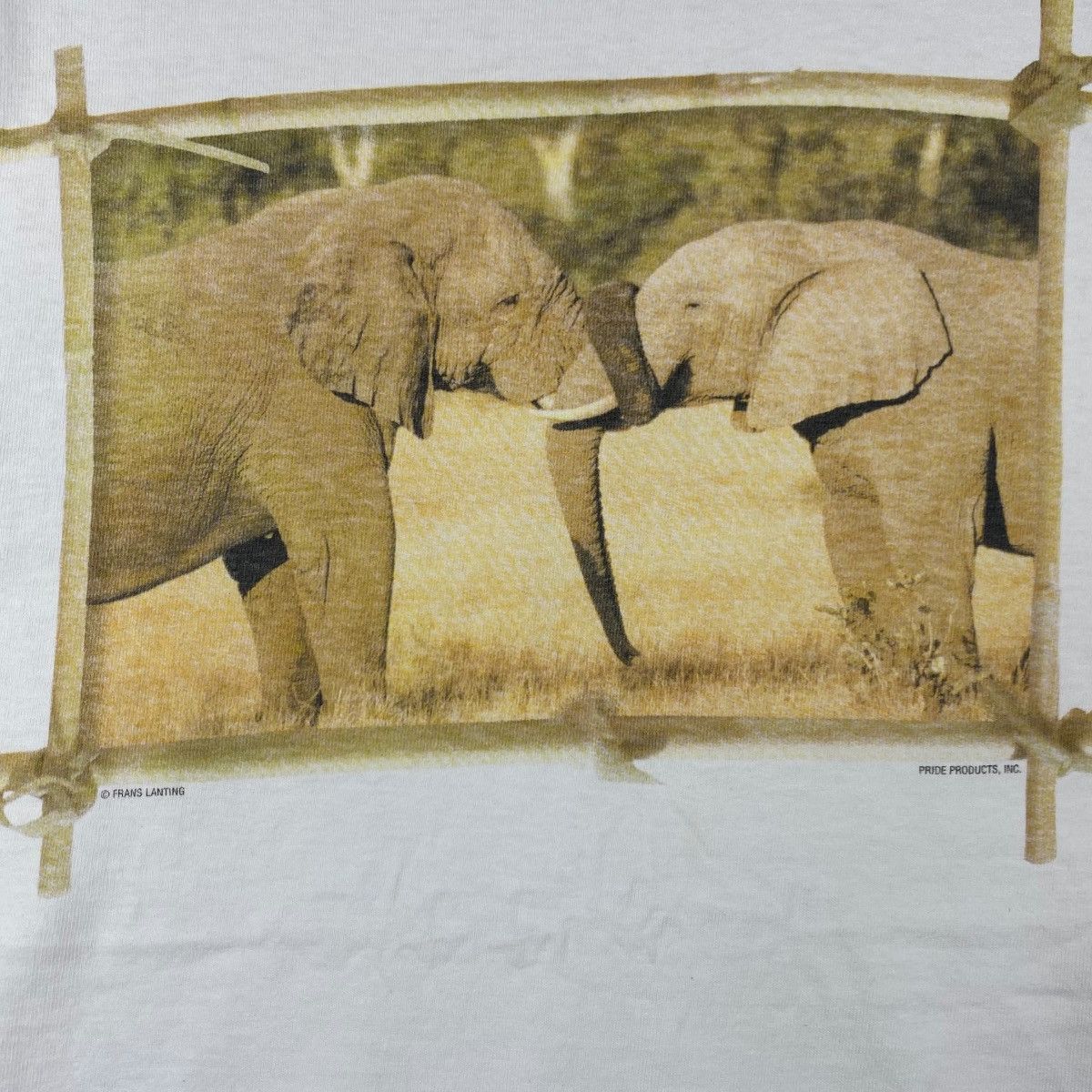 Vintage Vintage FRANS LANTING PHOTOGRAPHER Fotofolio Elephant Tee Size M / US 6-8 / IT 42-44 - 3 Thumbnail