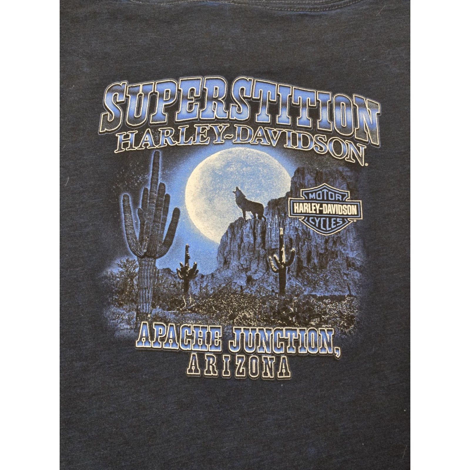 Harley Davidson Harley-Davidson Shirt Womens Medium V-Neck Short Sleeve Blue Superstition Apache Junction Arizona Tee Size M / US 6-8 / IT 42-44 - 5 Thumbnail