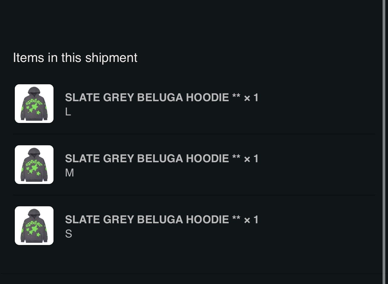 Sp5der × Young Thug Sp5der Spiderworldwide Beluga Hoodie Slate Grey Green Size US S / EU 44-46 / 1 - 5 Thumbnail