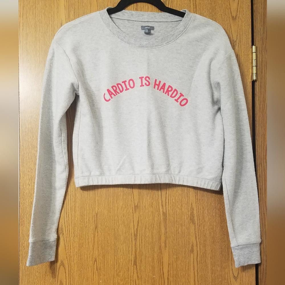 Designer Aerie Gray Cropped Sweatshirt Size Small Size S / US 4 / IT 40 - 1 Thumbnail