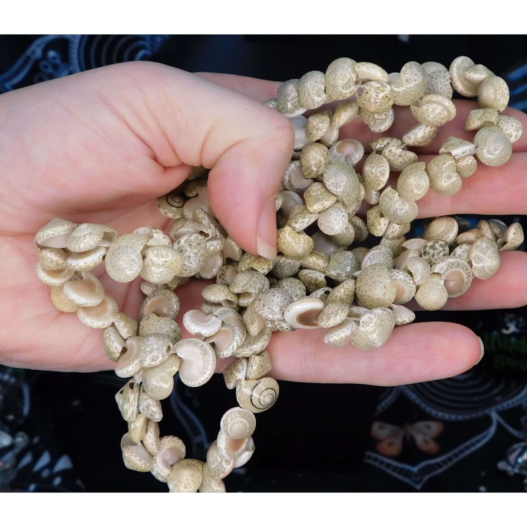Other Mermaidcore Ocean Long Tan Shell Beaded Necklace Size ONE SIZE - 1 Thumbnail