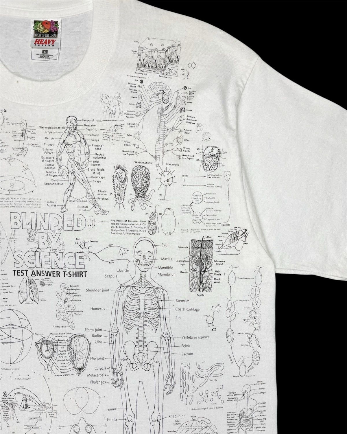 Vintage 1990s Blinded by Science Test Answer Anatomy Tee Size US M / EU 48-50 / 2 - 4 Thumbnail