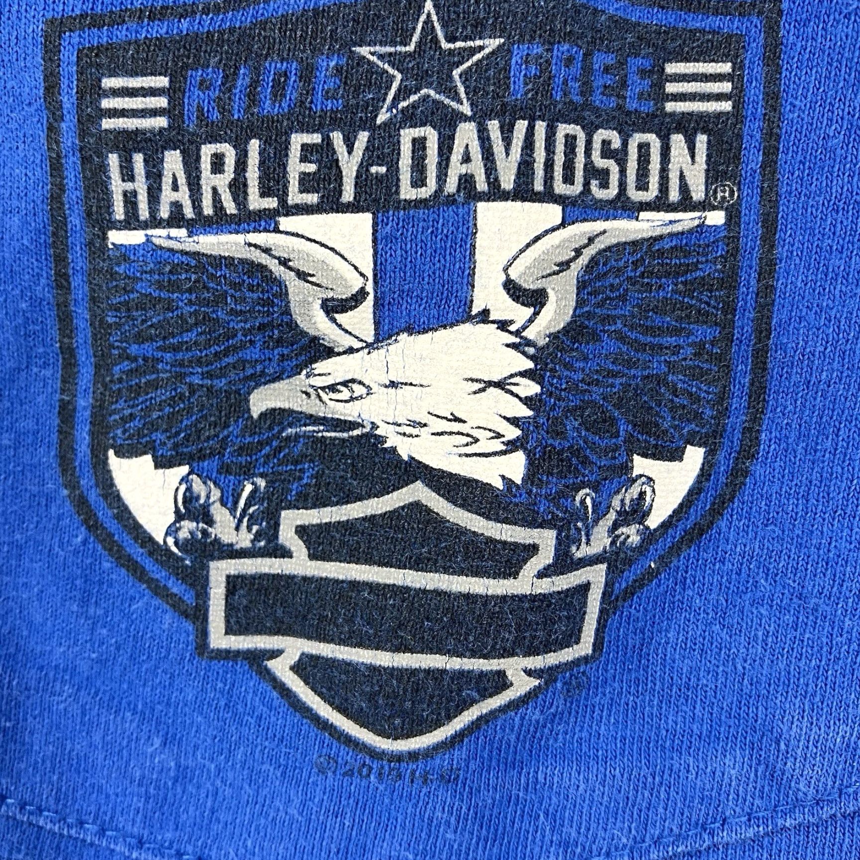Harley Davidson Harley-Davidson Mens T-Shirt Large Blue Graphic Print Rattlesnake Stone Cold WWF Biker Size US L / EU 52-54 / 3 - 7 Thumbnail
