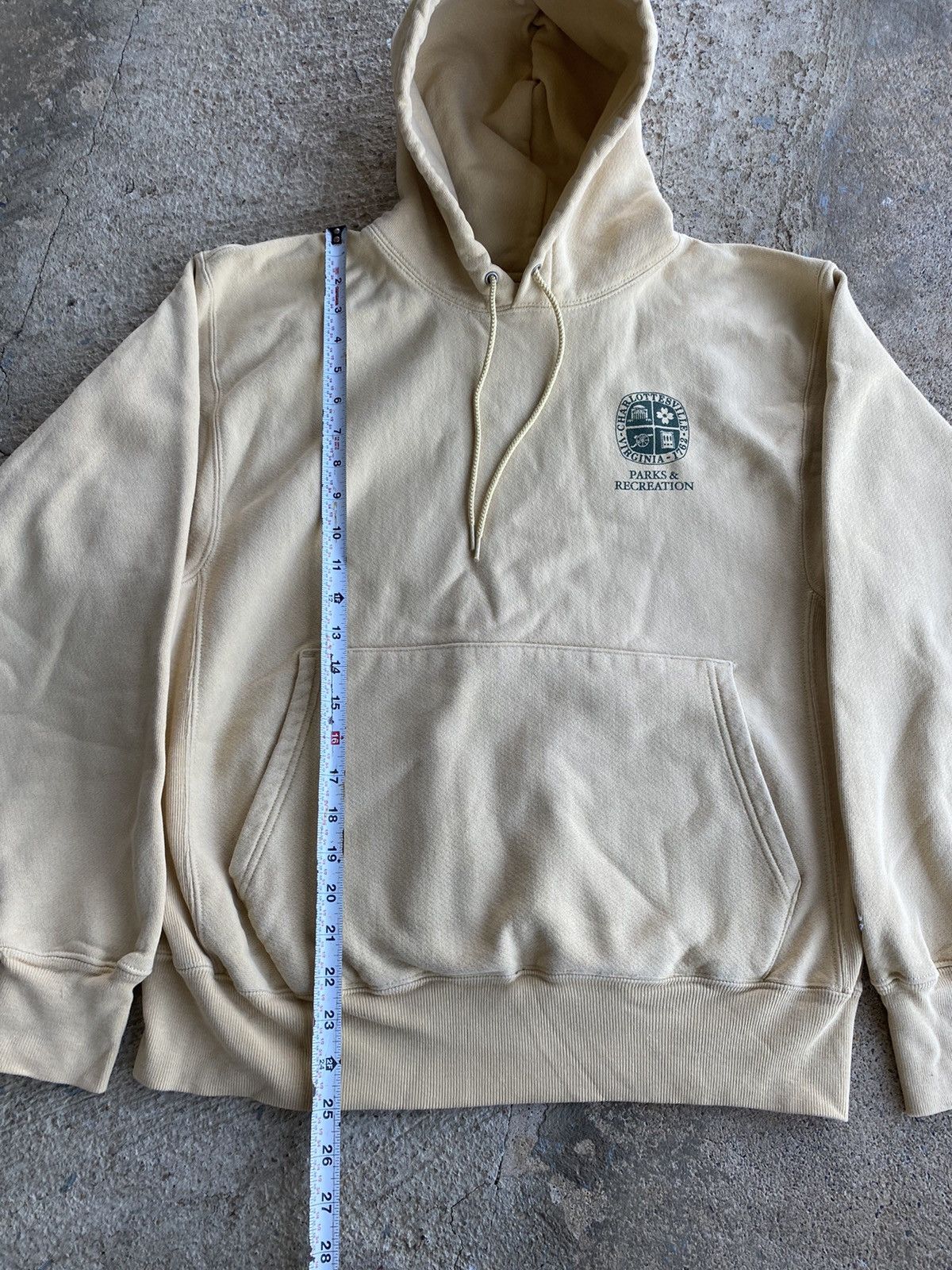 Champion × Vintage Vintage Y2K Champion Reverse Weave Charlottesville VA Hoodie Size US M / EU 48-50 / 2 - 9 Thumbnail