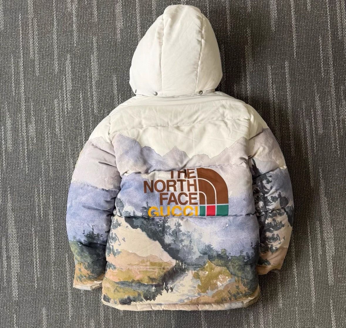Gucci Gucci x The North Face Long Sleeve Puffer Jacket. Size US M / EU 48-50 / 2 - 2 Thumbnail