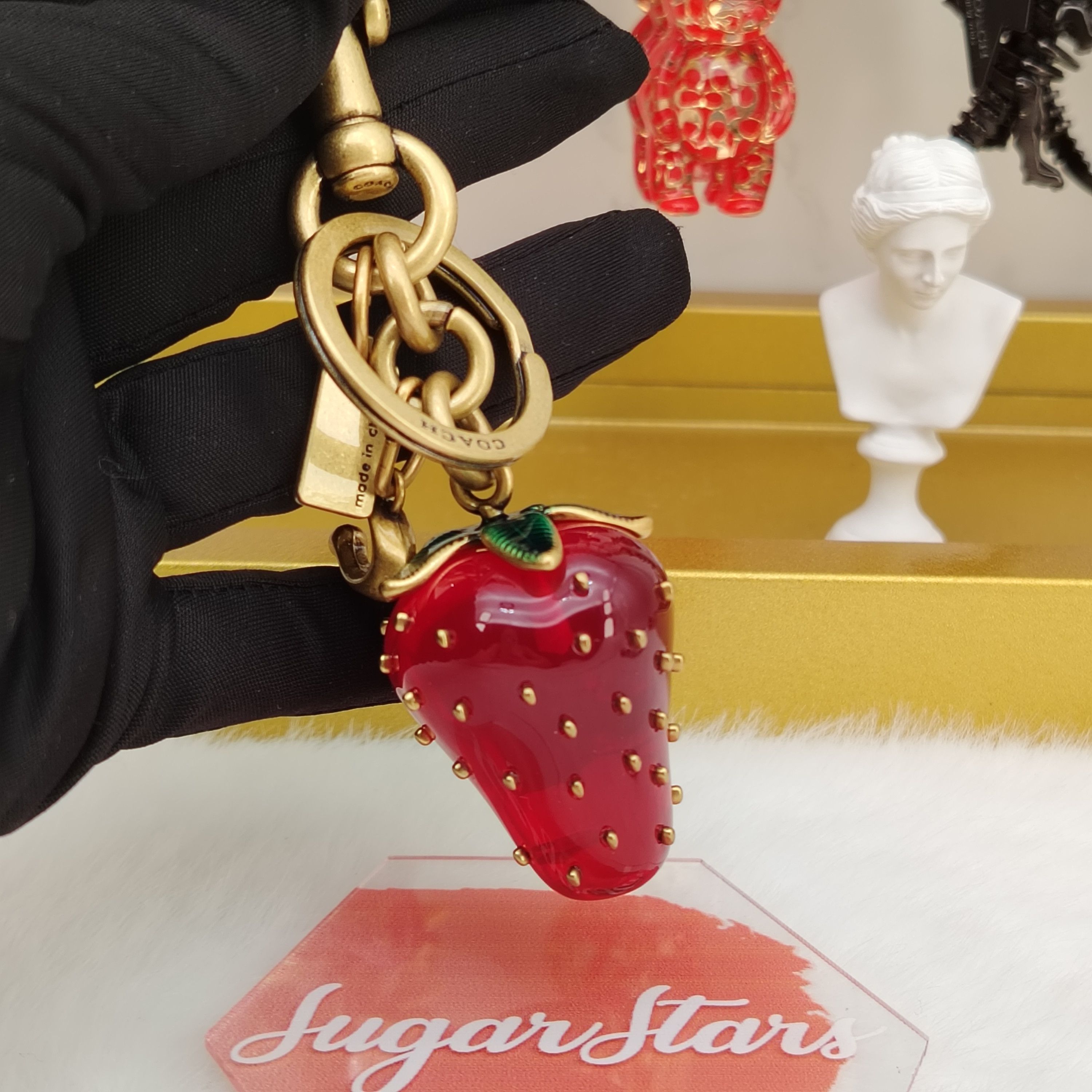 Coach Coach Strawberry Bag Charm Coach Bag Accessories keychain
