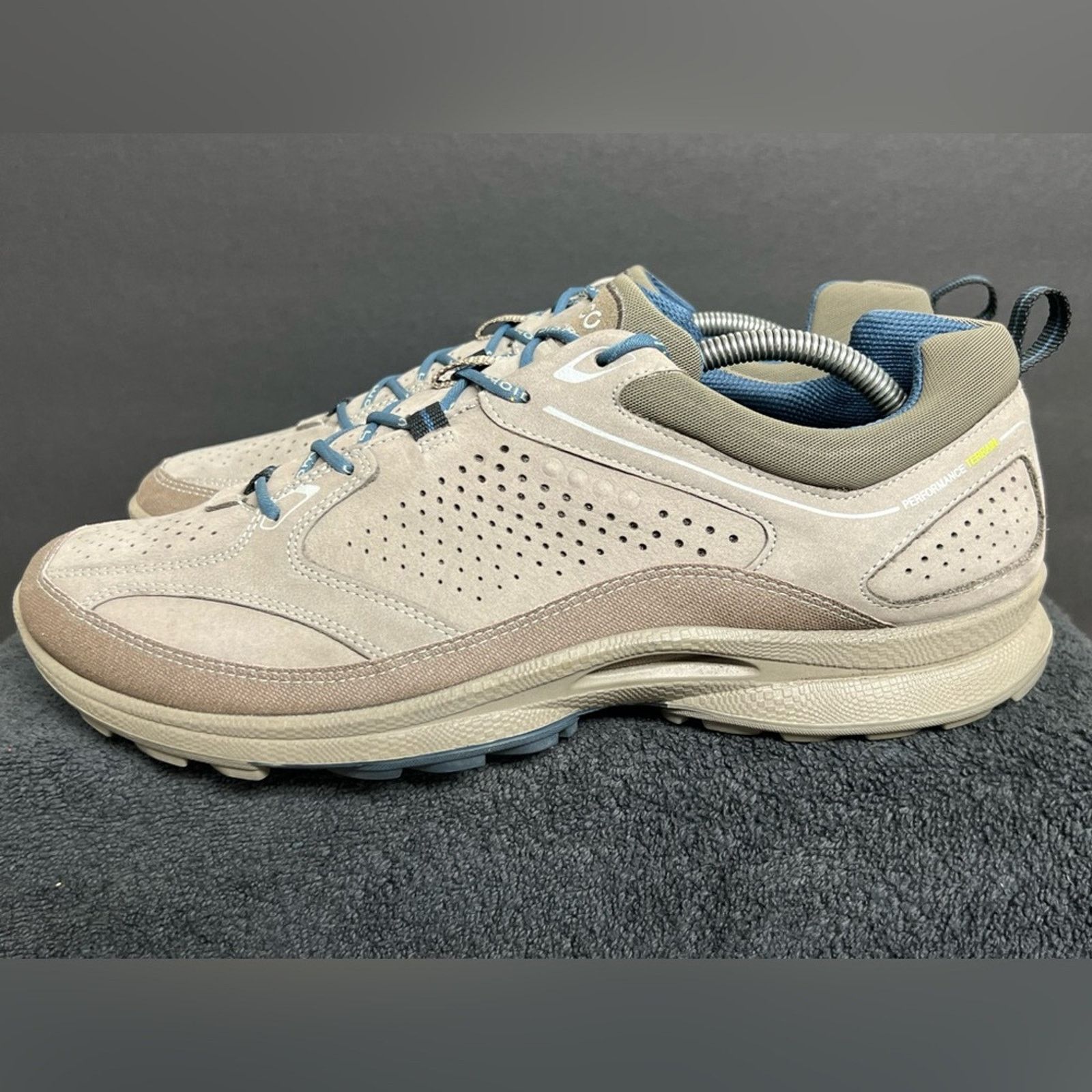 Ecco Ecco Gore-Tex Men’s Biom Performance Terrain Size 45 US 11 Size US 11 / EU 44 - 1 Thumbnail