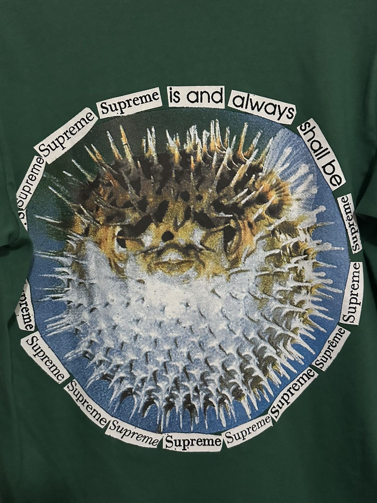 Supreme Supreme Blowfish Tee Size US S / EU 44-46 / 1 - 2 Thumbnail