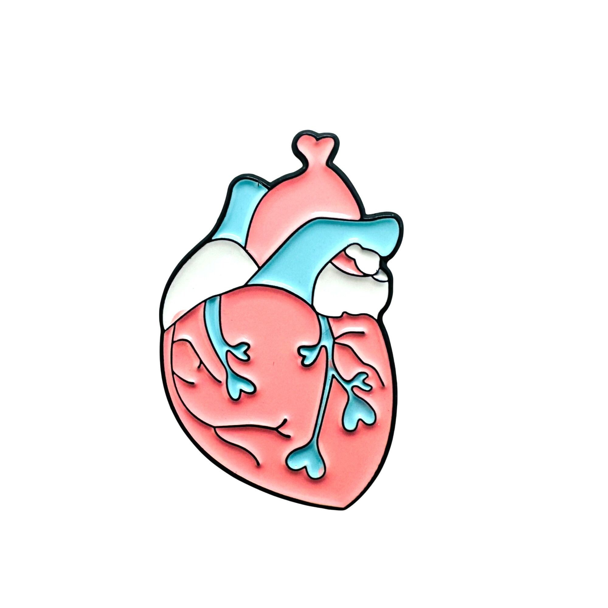 Other Anatomical Human Heart Shape Pride Enamel Pin Brooch Pink B Size ONE SIZE - 5 Thumbnail