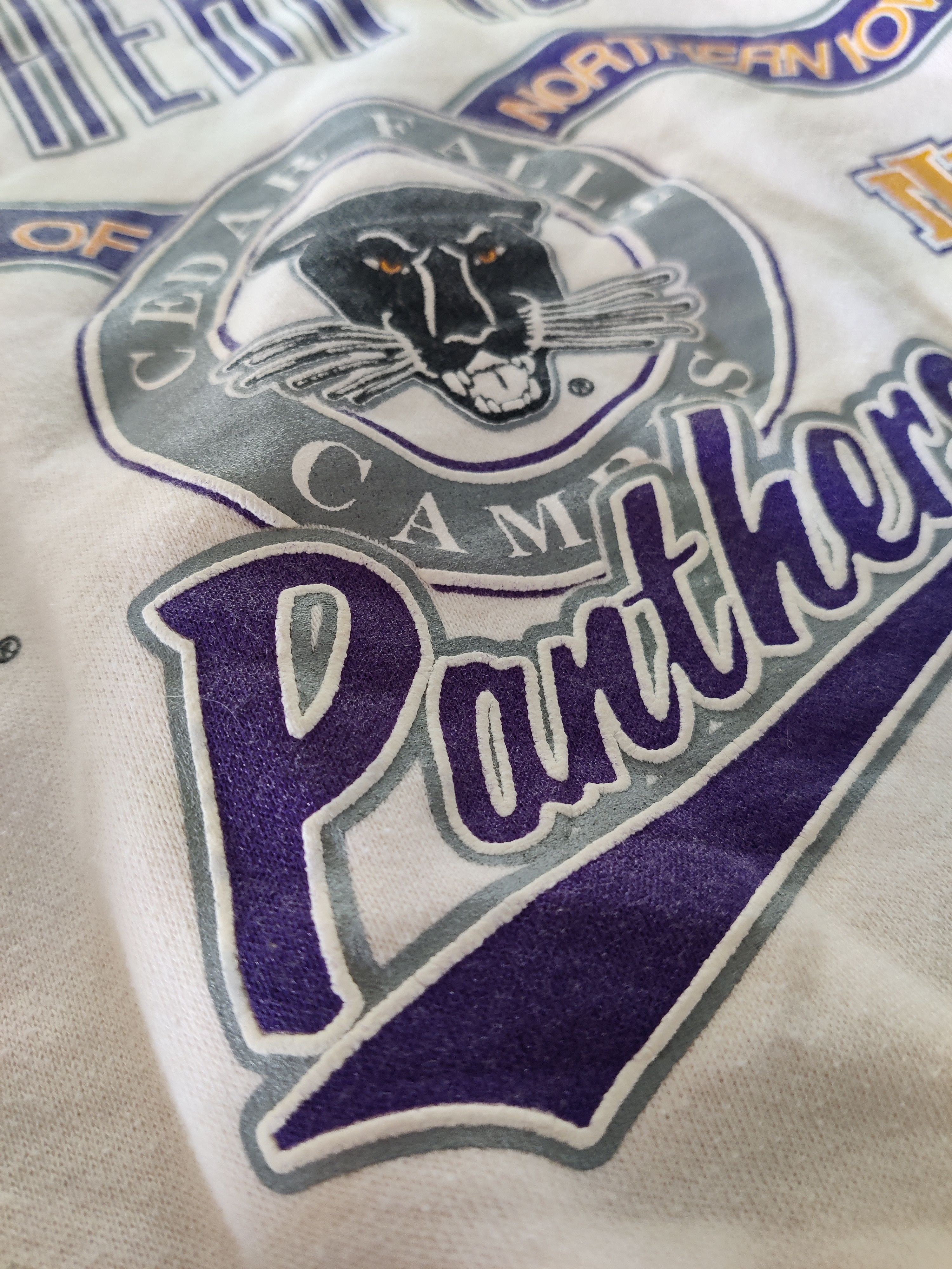 Other Danaggers Northern Iowa Panthers NCAA Vintage 90s Crewneck M Size US M / EU 48-50 / 2 - 7 Thumbnail