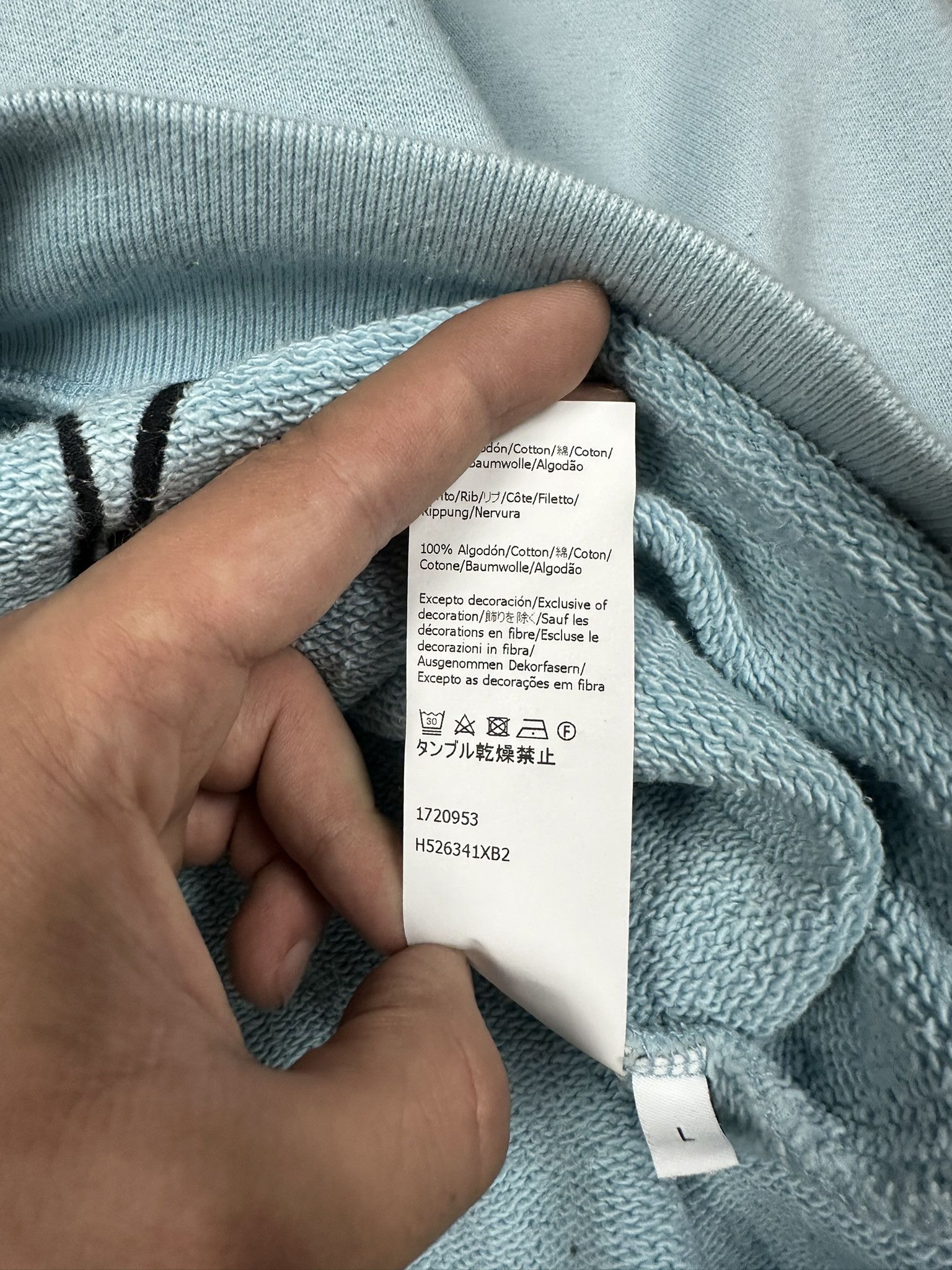 Loewe Rare Loewe Baby Blue Goose Crewneck Size US L / EU 52-54 / 3 - 7 Thumbnail