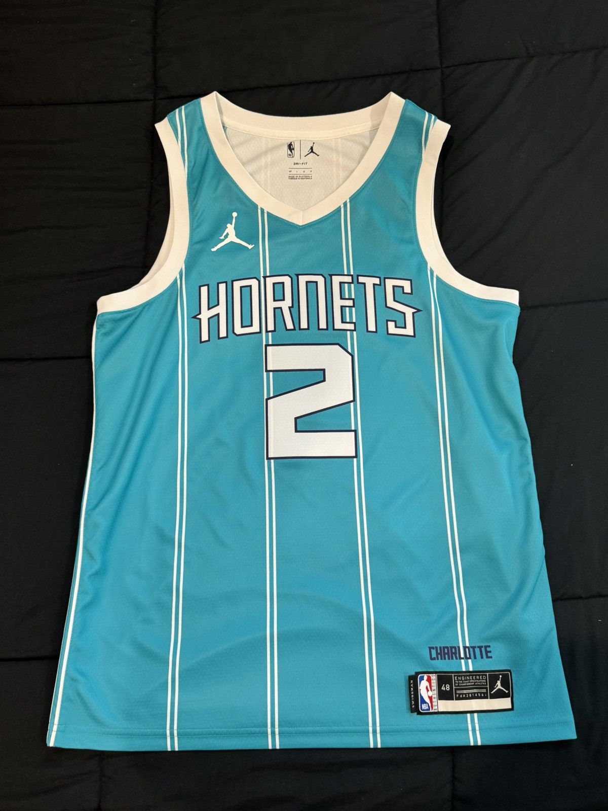 Nike LaMelo Ball Charlotte Hornets Jordan Jersey (Men’s L) Size US L / EU 52-54 / 3 - 1 Thumbnail