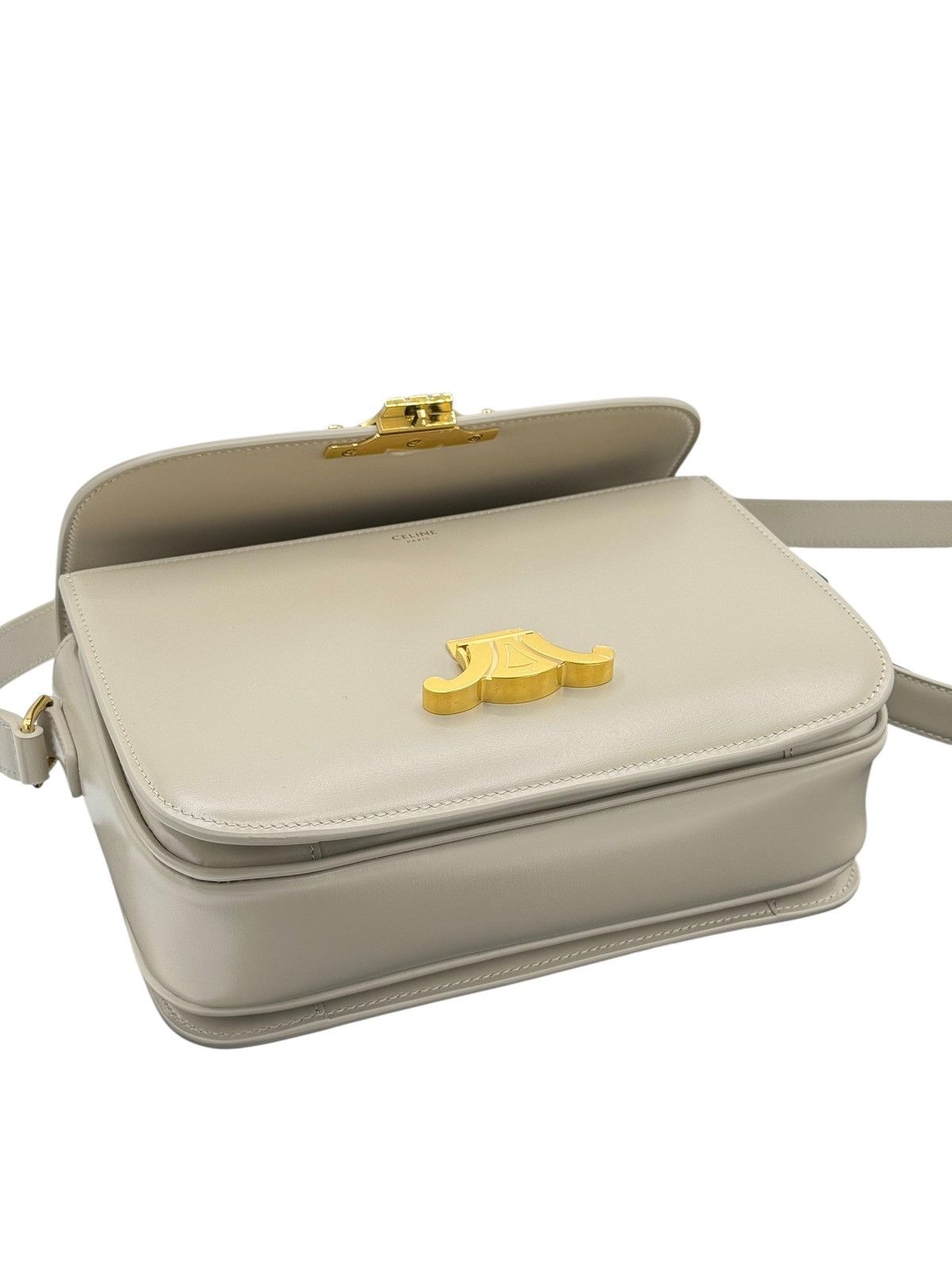 Celine Celine Triomphe Classique shoulder bag Size ONE SIZE - 16 Thumbnail