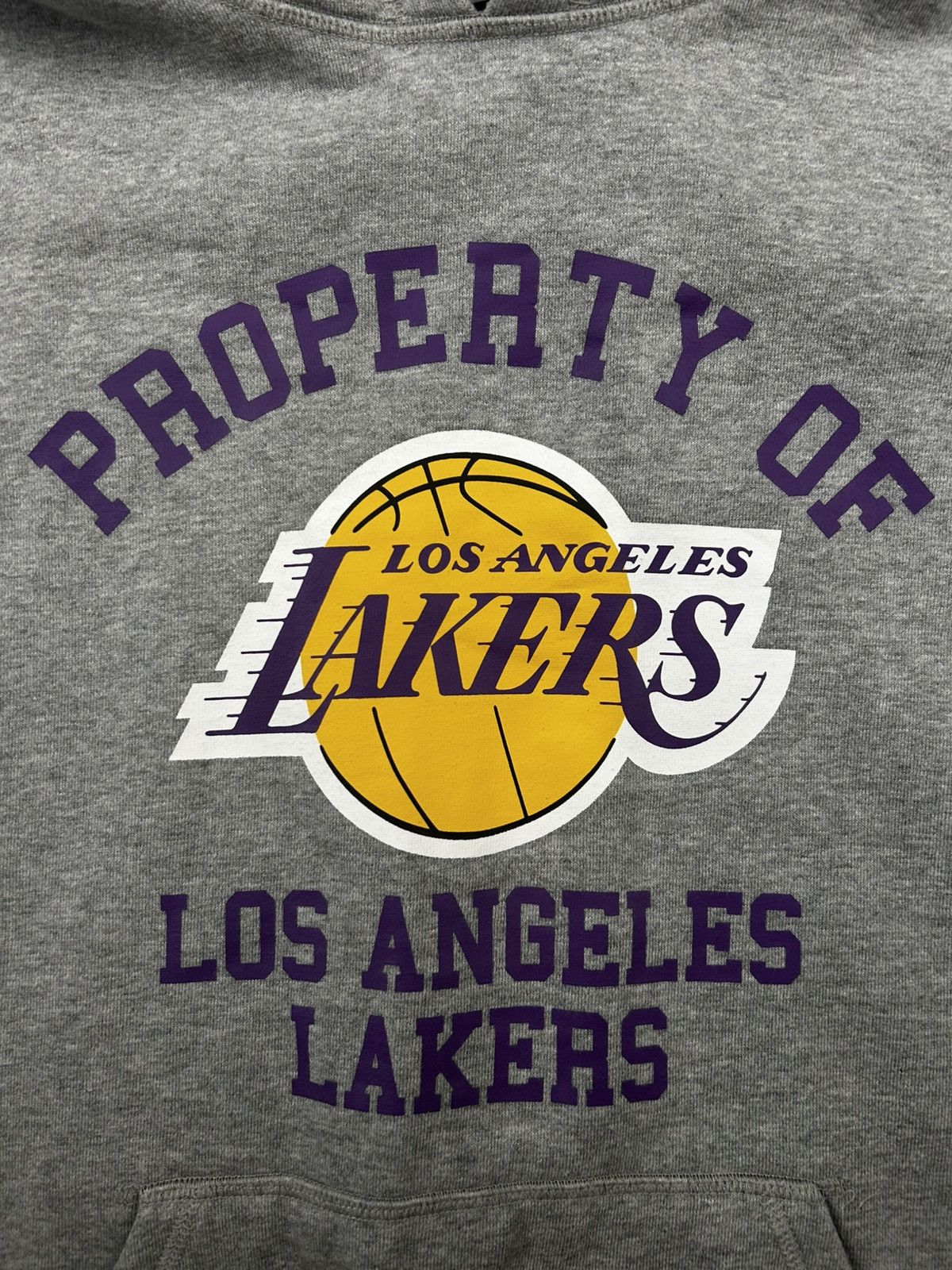 Eric Emanuel × NBA × New Era Eric Emanuel x LA Lakers Pullover Grey Hoodie Size Large Size US L / EU 52-54 / 3 - 2 Thumbnail