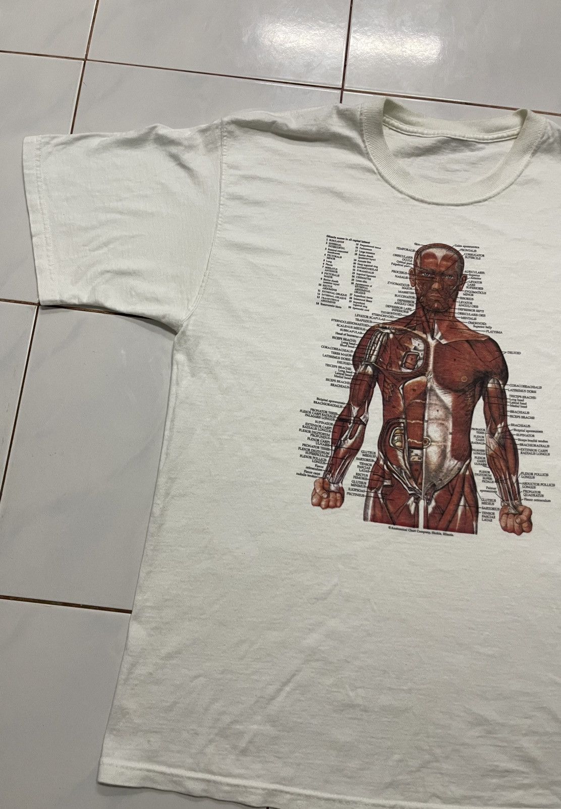 Fruit Of The Loom VINTAGE KURT COBAIN ANATOMICAL HUMAN SHIRT Size US L / EU 52-54 / 3 - 4 Thumbnail
