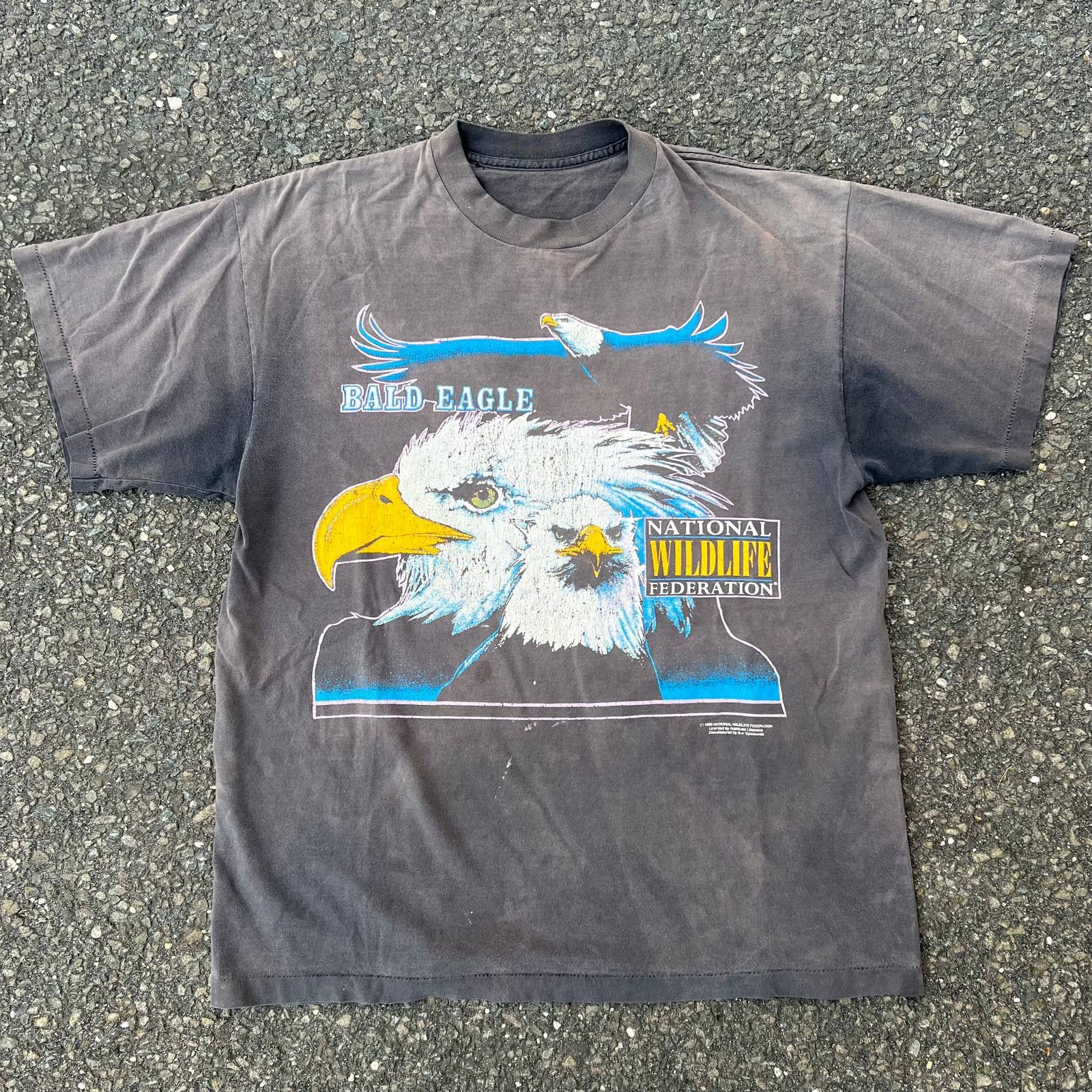 Lana Vintage Tee - Black Eagle main image 1