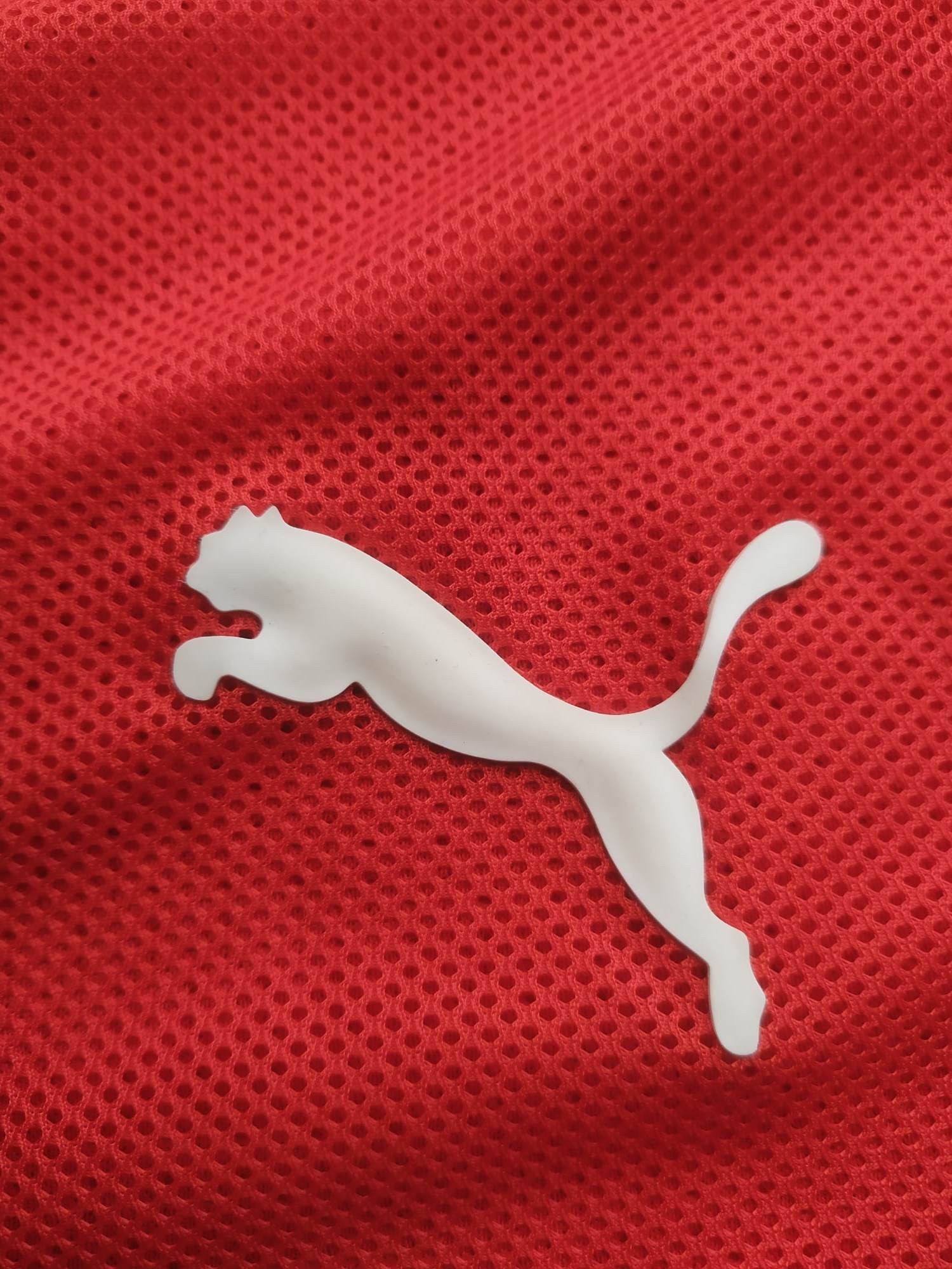 Puma Austria National Team Football Shirt Puma Home Kit 2008/09 L Size US L / EU 52-54 / 3 - 7 Thumbnail