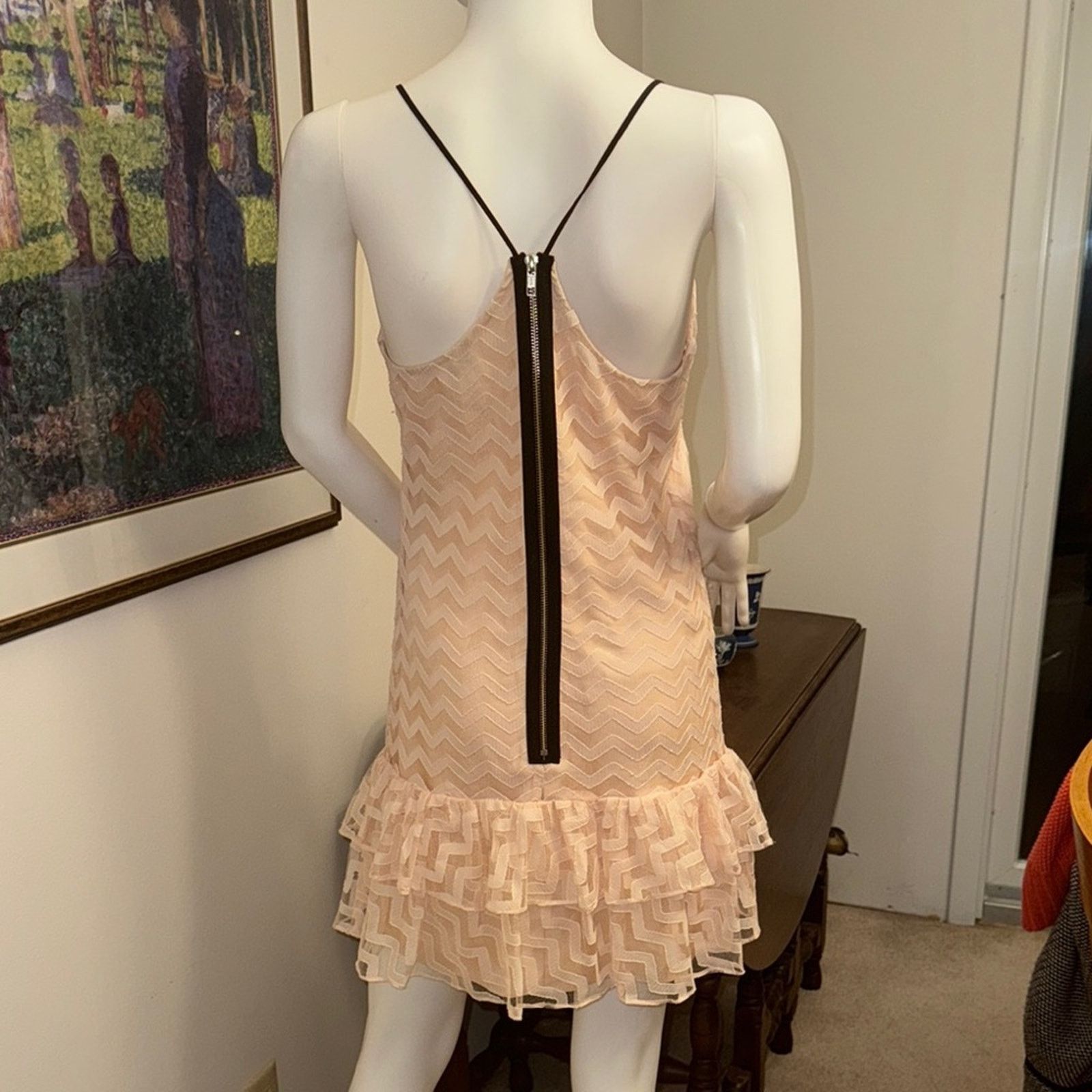 MILLY Milly Peach Lace Chevron Ruffle Mini Dress Size 2 Size XS / US 0-2 / IT 36-38 - 4 Thumbnail