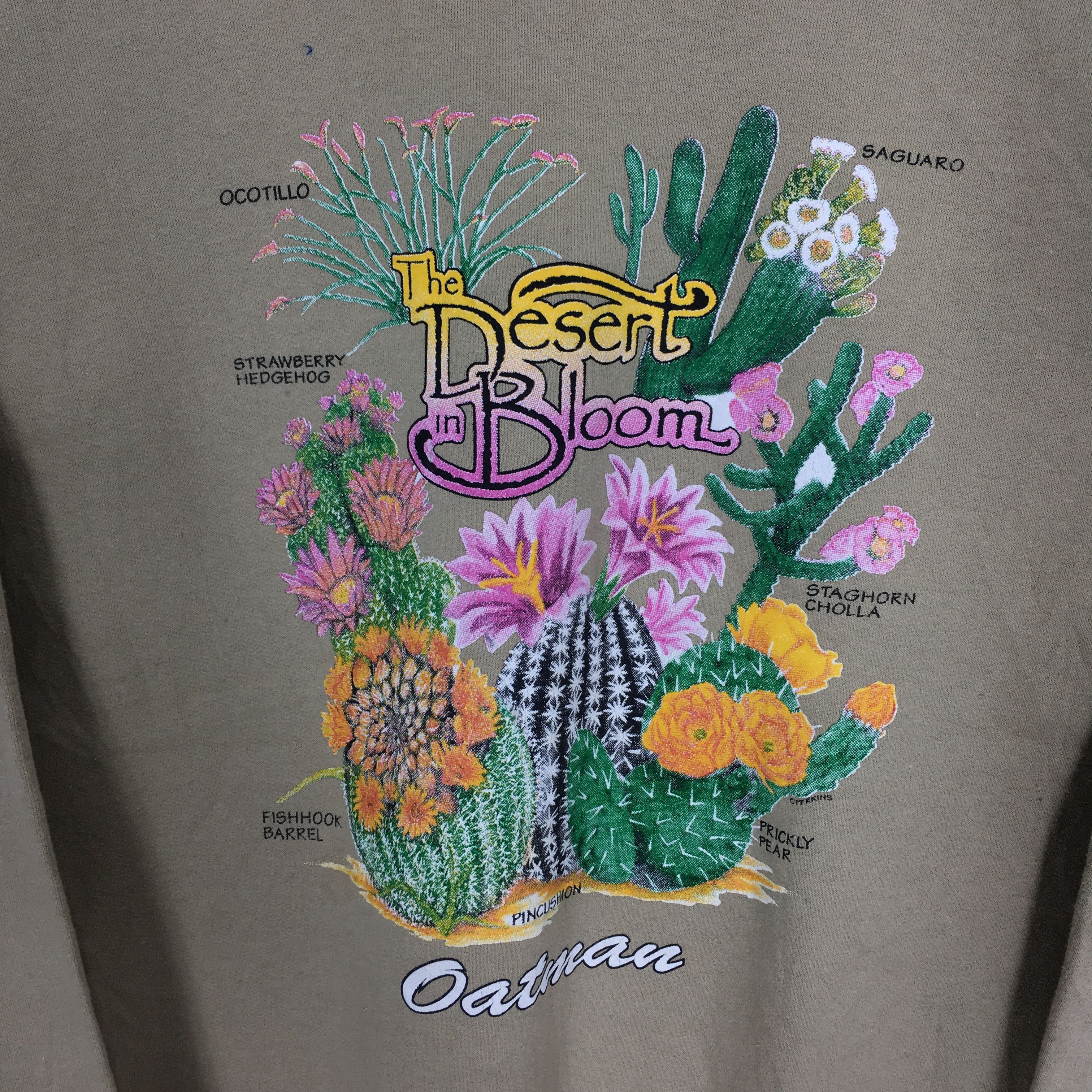 Hanes the desert bloom sweatshirt - 199 Size US M / EU 48-50 / 2 - 4 Thumbnail