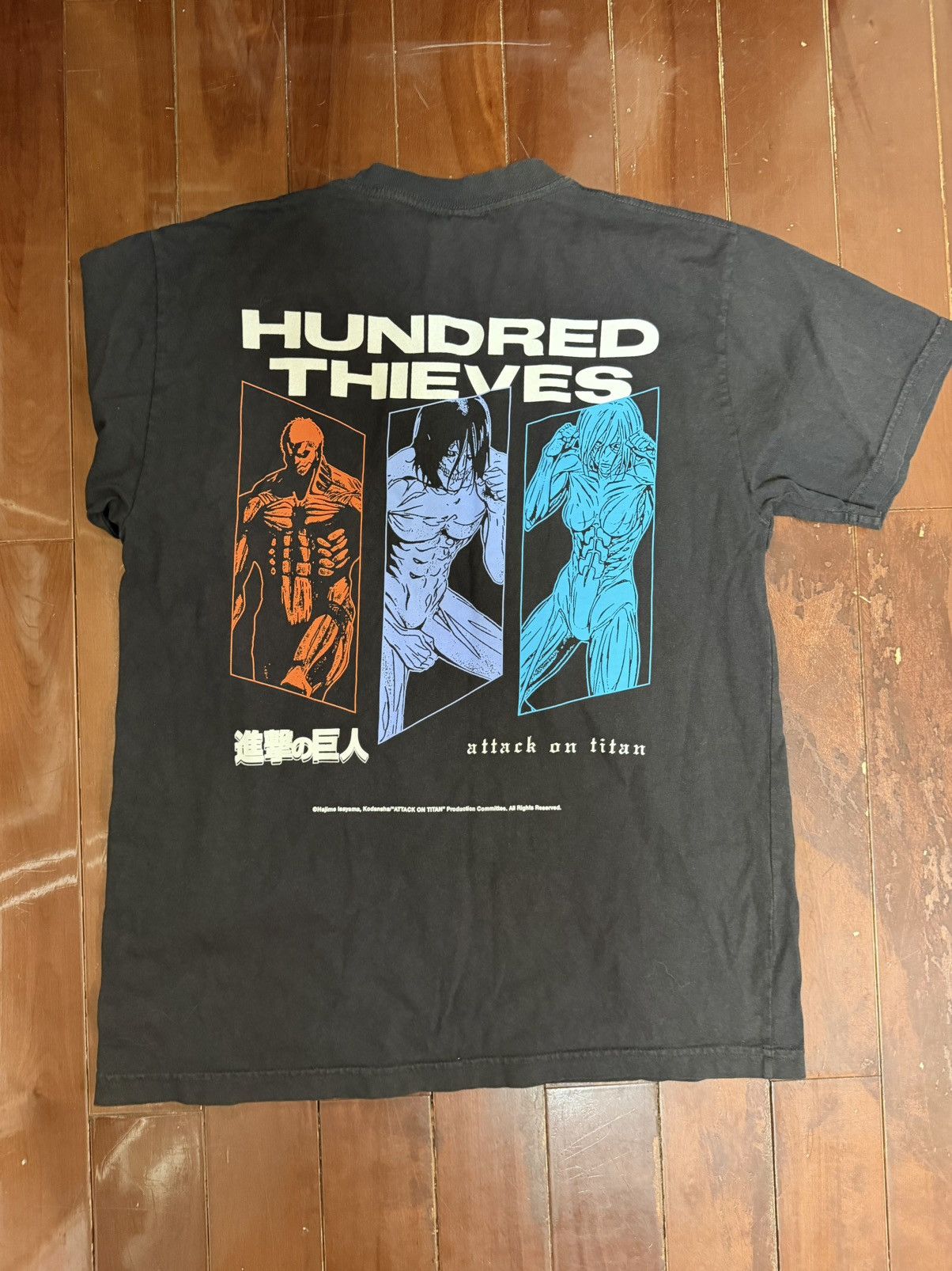 100 Thieves 100 Thieves x Attack on Titan Size US M / EU 48-50 / 2 - 2 Thumbnail