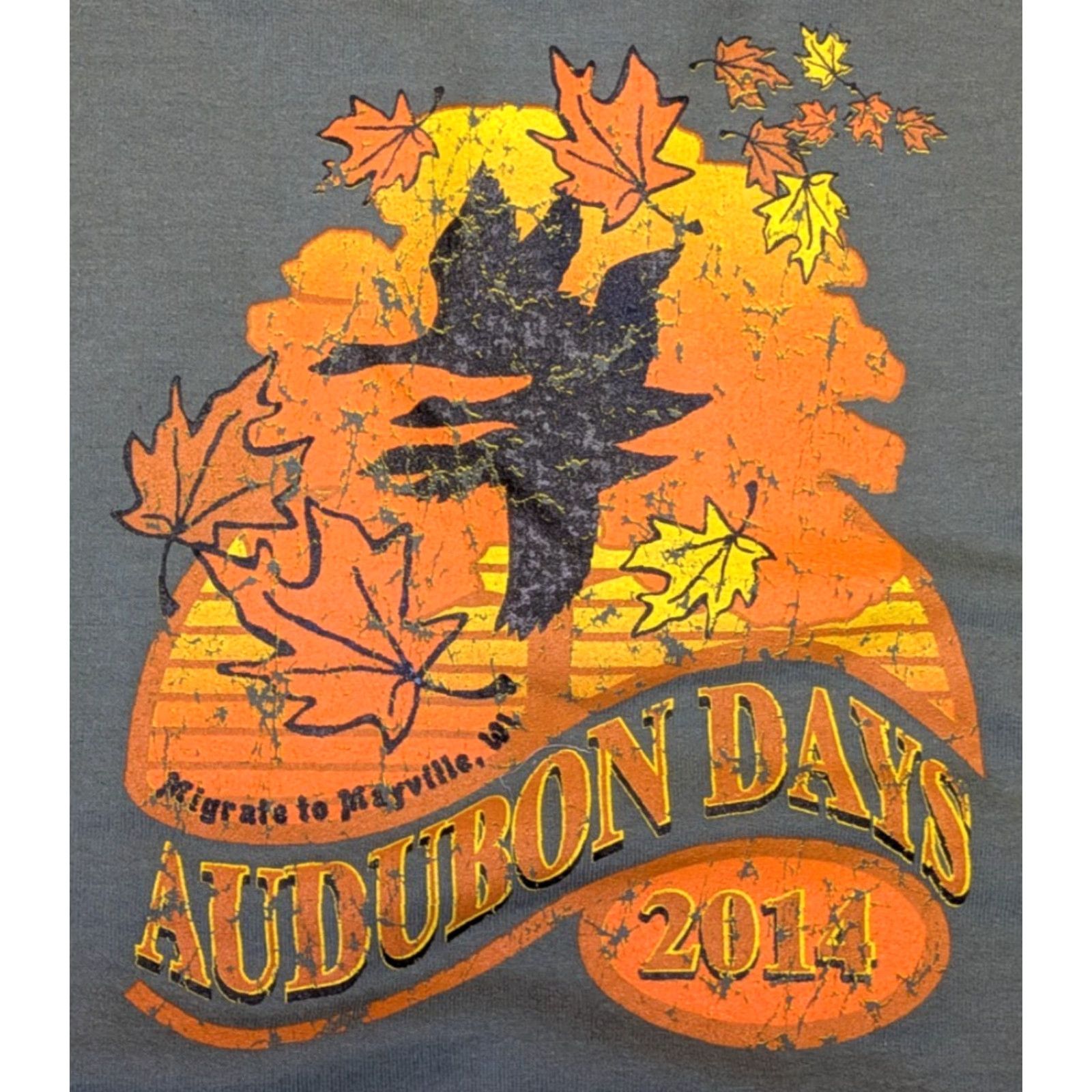 Gildan VINTAGE Gildan Sweatshirt Adult XL Green Audubon Days Mayville Wisconsin Souvenir 2014 Size XL / US 12-14 / IT 48-50 - 4 Thumbnail