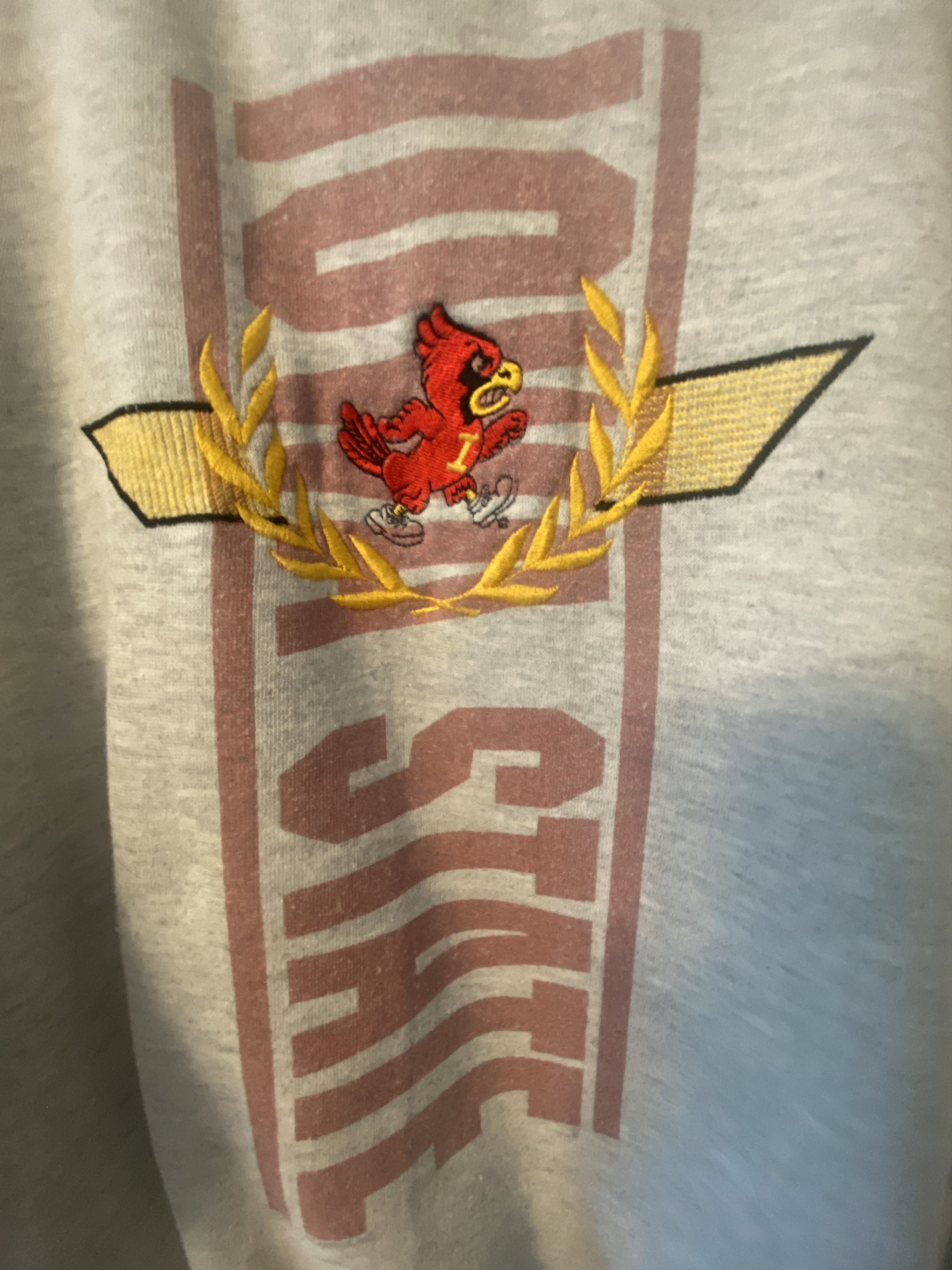 Other Vintage Y2K Iowa State sweatshirt Size M / US 6-8 / IT 42-44 - 2 Thumbnail