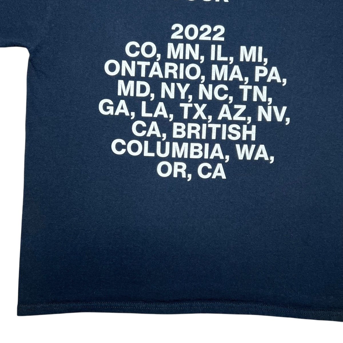 Band Tees 2022 Steve Lacy Give You The World Tour Gemini Album Tee Size US L / EU 52-54 / 3 - 11 Thumbnail