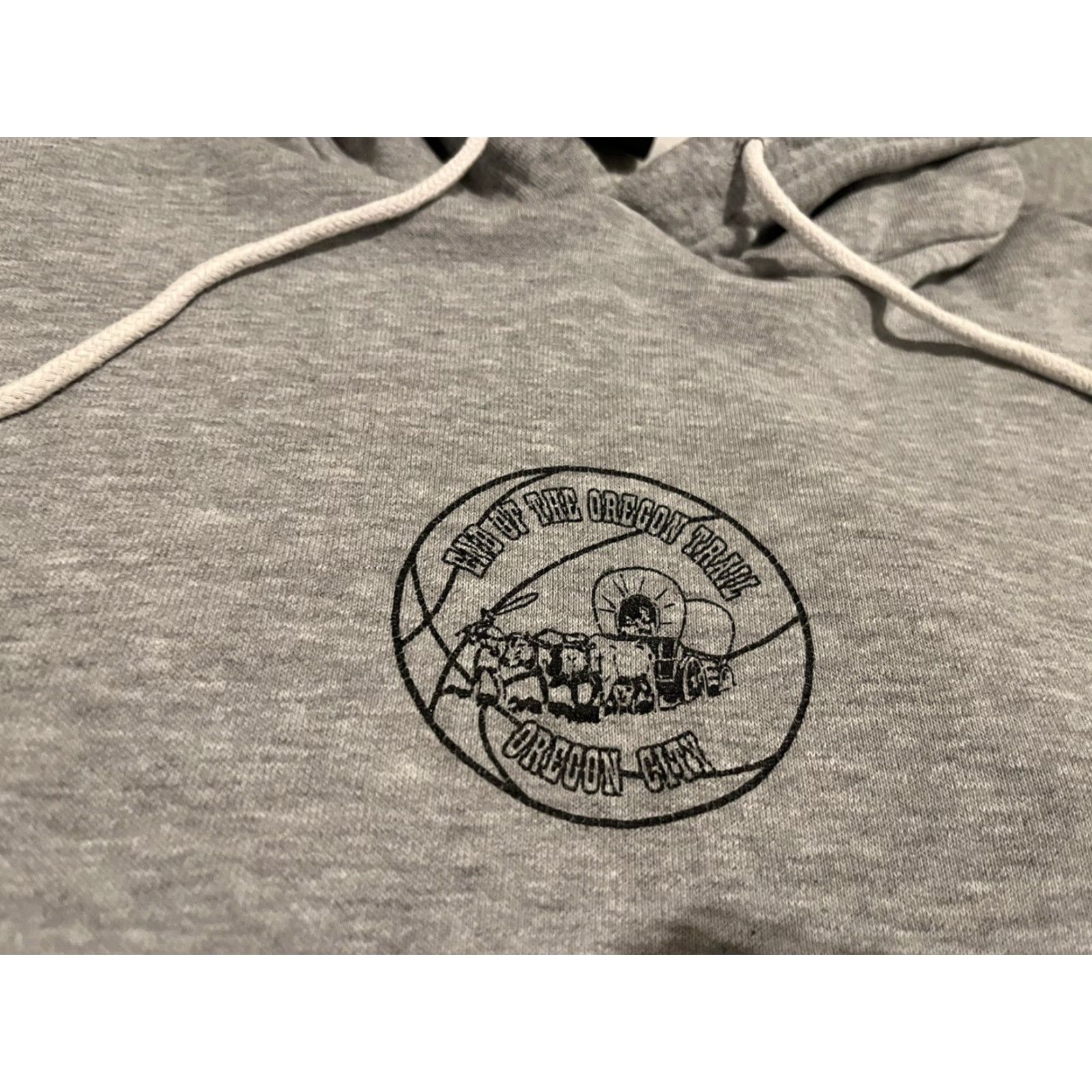 Nike VINTAGE Nike Center Swoosh Gray Hoodie Sweater End of Oregon Trail Size Large Men L Gray Nike Hoodie End of Oregon Trail Mens Large Size US L / EU 52-54 / 3 - 2 Thumbnail