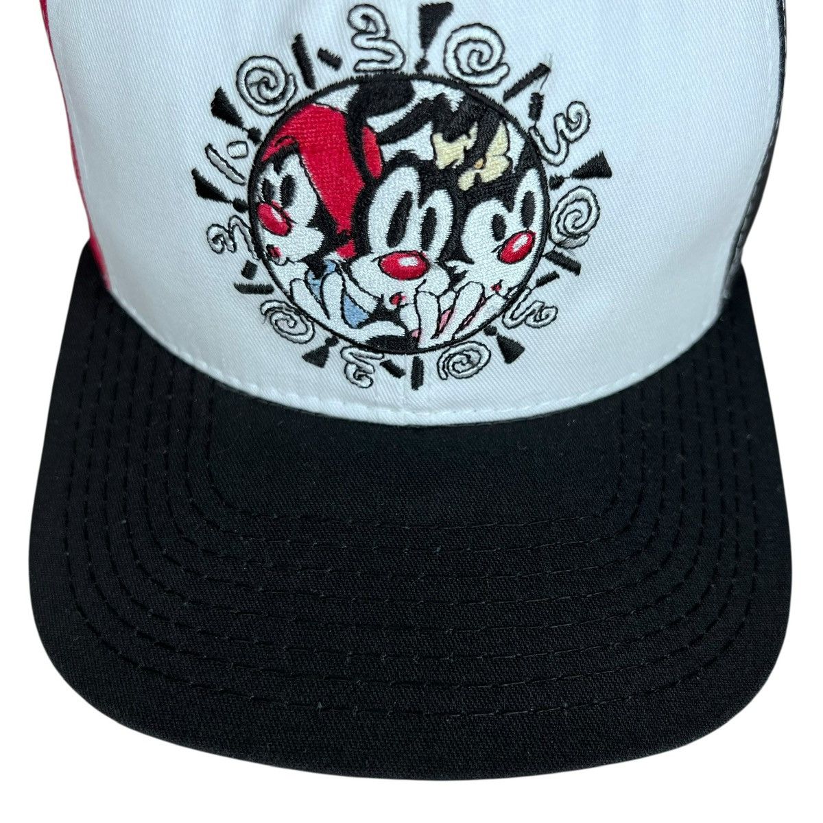 Warner Bros 1993 Animaniacs Warner Bros Color Block Embroidered Snapback Size ONE SIZE - 6 Thumbnail