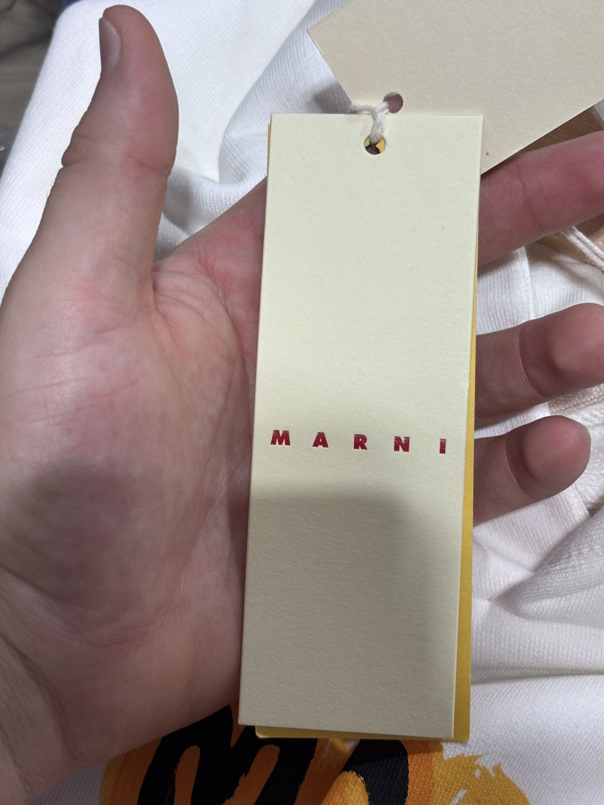 Marni MARNI GRAFFITI LOGO LOOPBACK ORGANIC COTTON HOODIE Size US XL / EU 56 / 4 - 9 Thumbnail